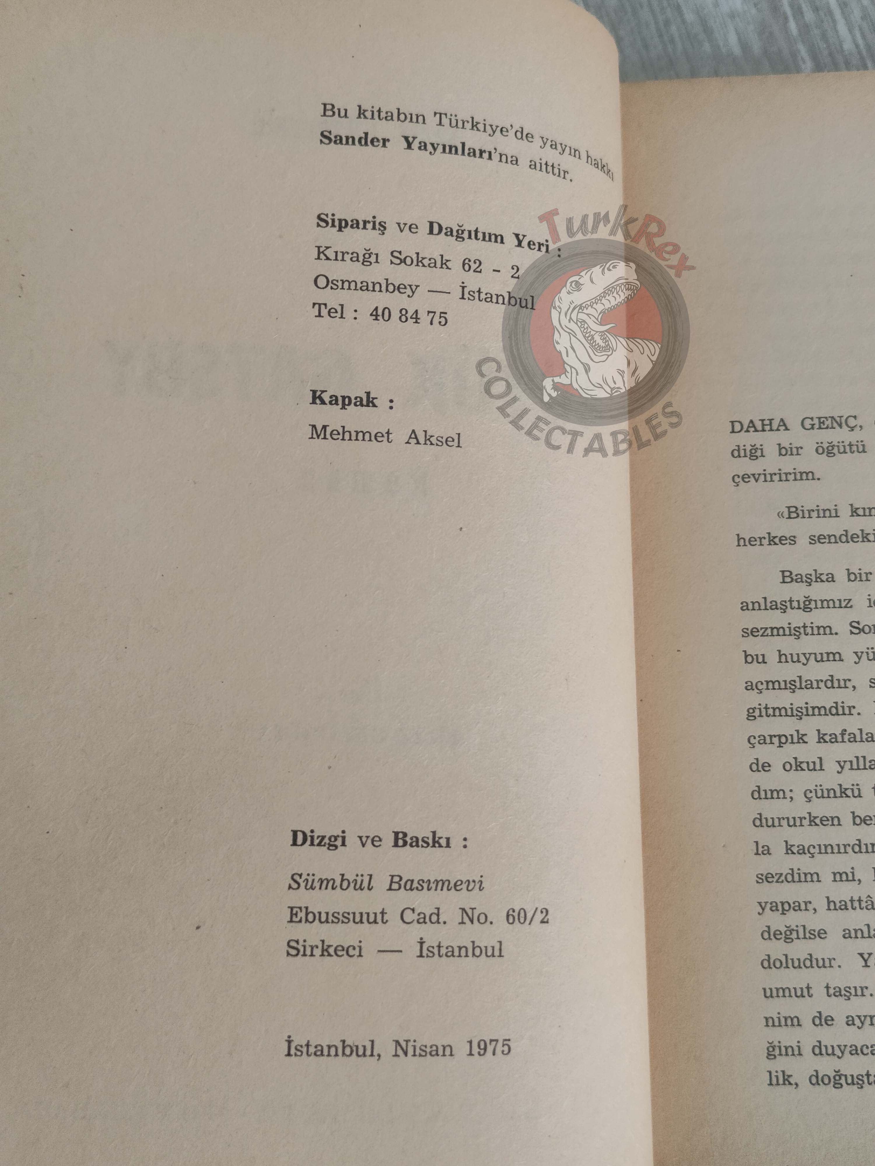 F. Scott Fitzgerald  – The Great Gatsby 1975 Turkish Book Turkey