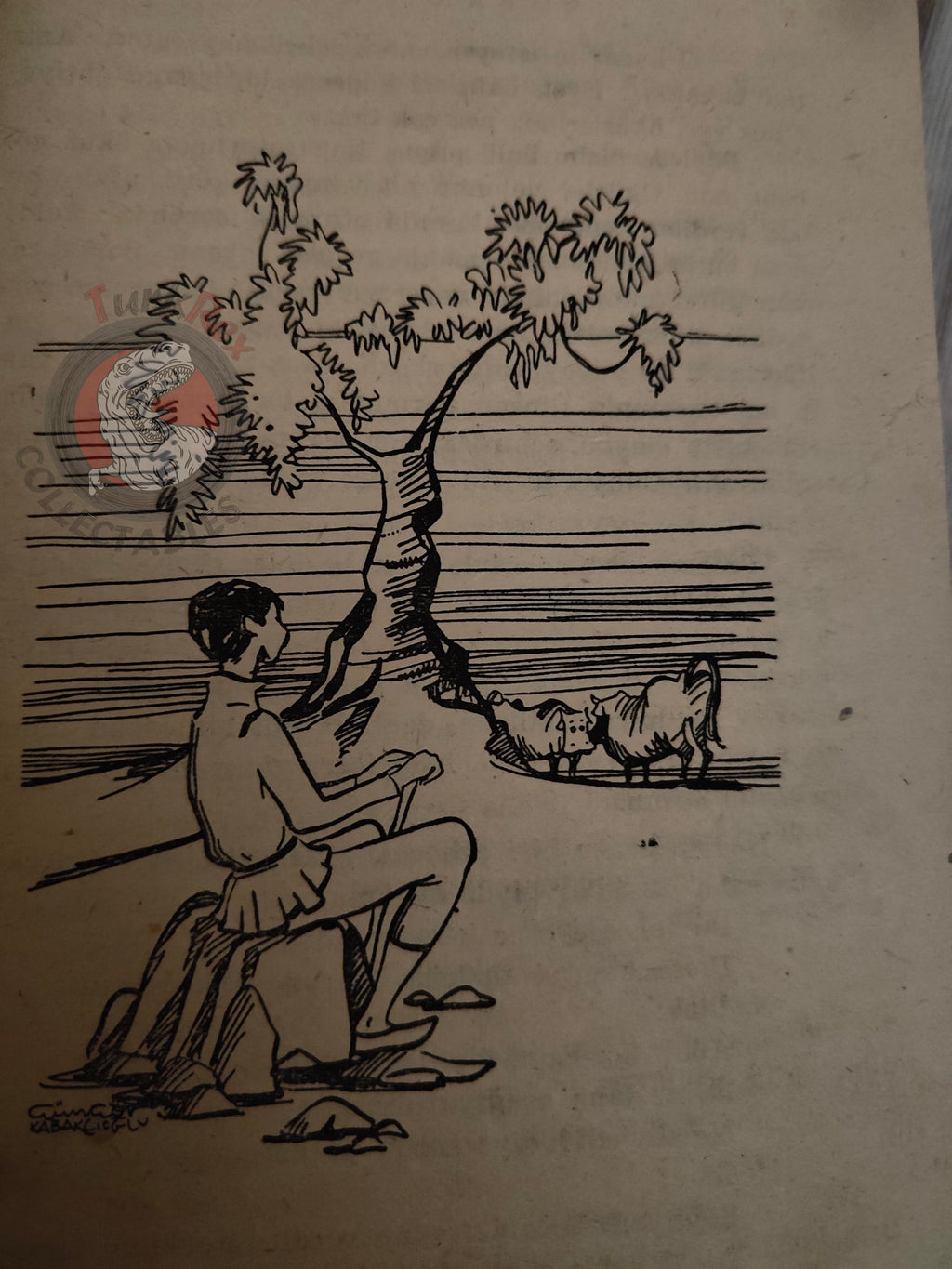 Hans Christian Andersen – The Swineherd 1962 Turkish Book Turkey Illustrated