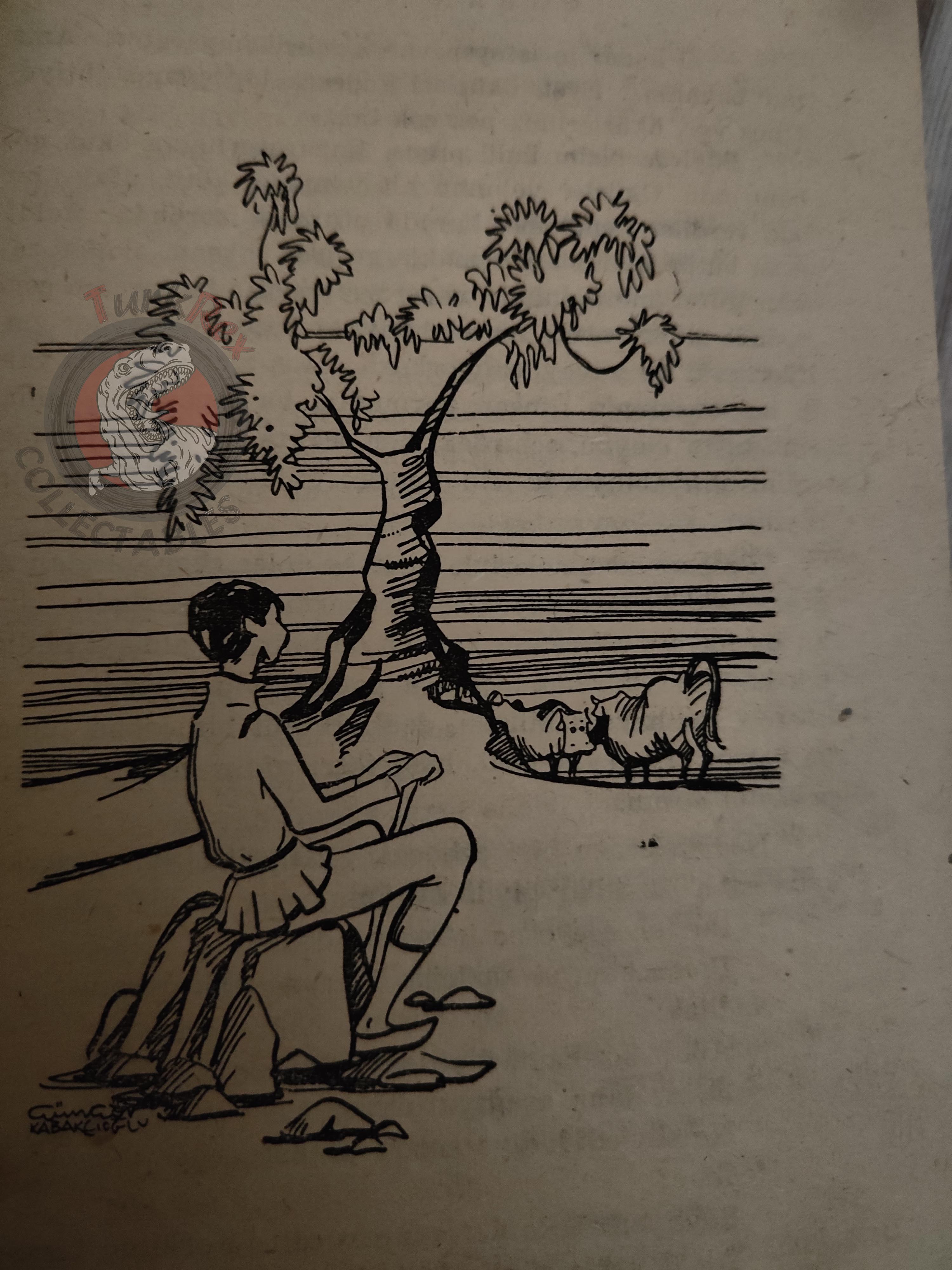 Hans Christian Andersen – The Swineherd 1962 Turkish Book Turkey Illustrated