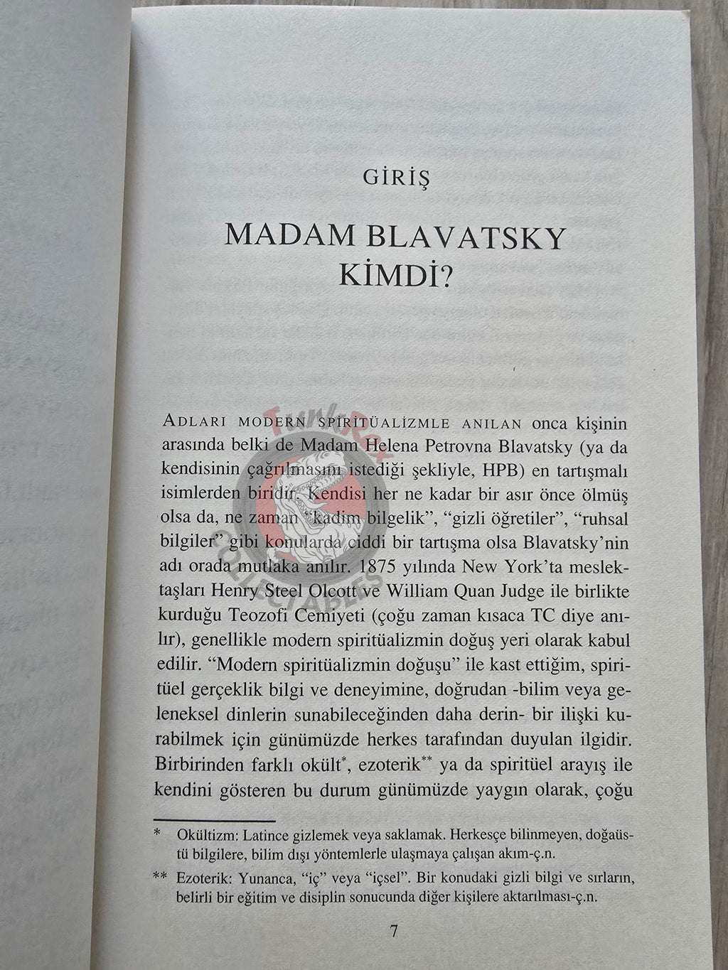 Gary Lachman – Madame Blavatsky: The Mother of Modern Spirituality 2014 Turkish Book Turkey