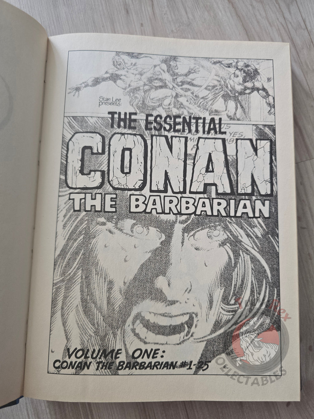 Conan the Barbarian Issues #1–12 Turkish Comic Turkey Hardcover
