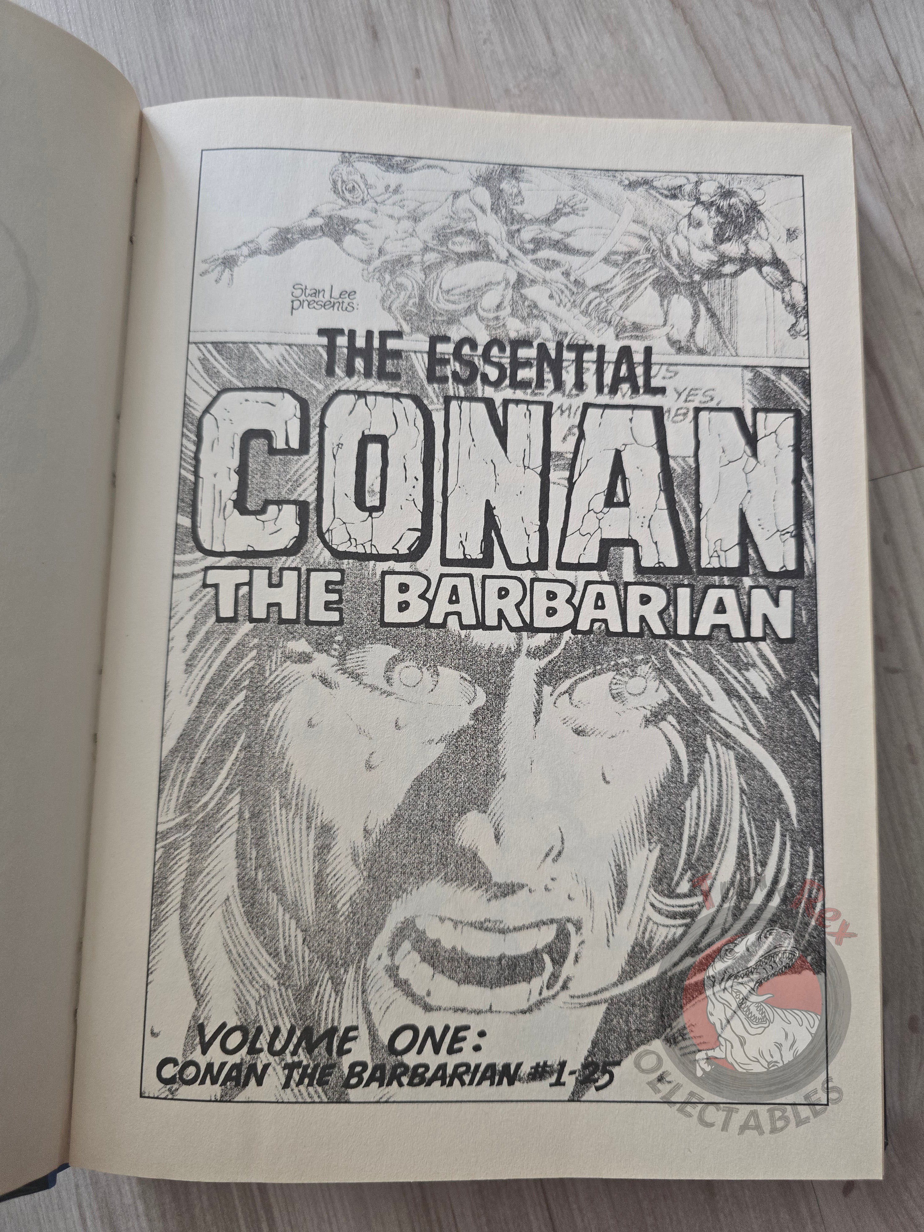 Conan the Barbarian Issues #1–12 Turkish Comic Turkey Hardcover