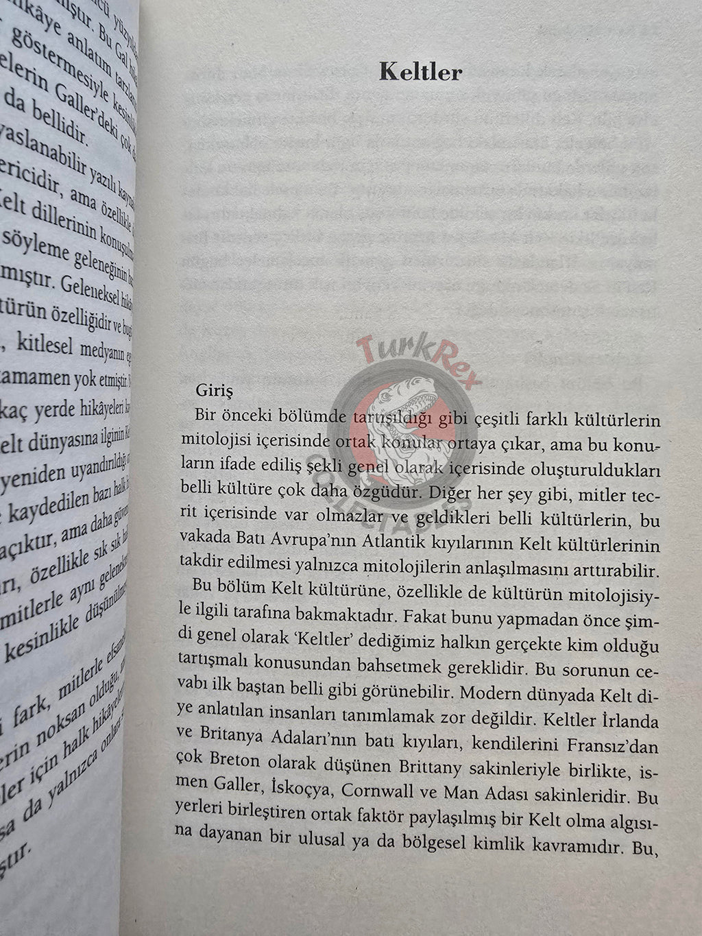 Bill Price – Celtic Myths 2011 1st Turkish Book Turkey