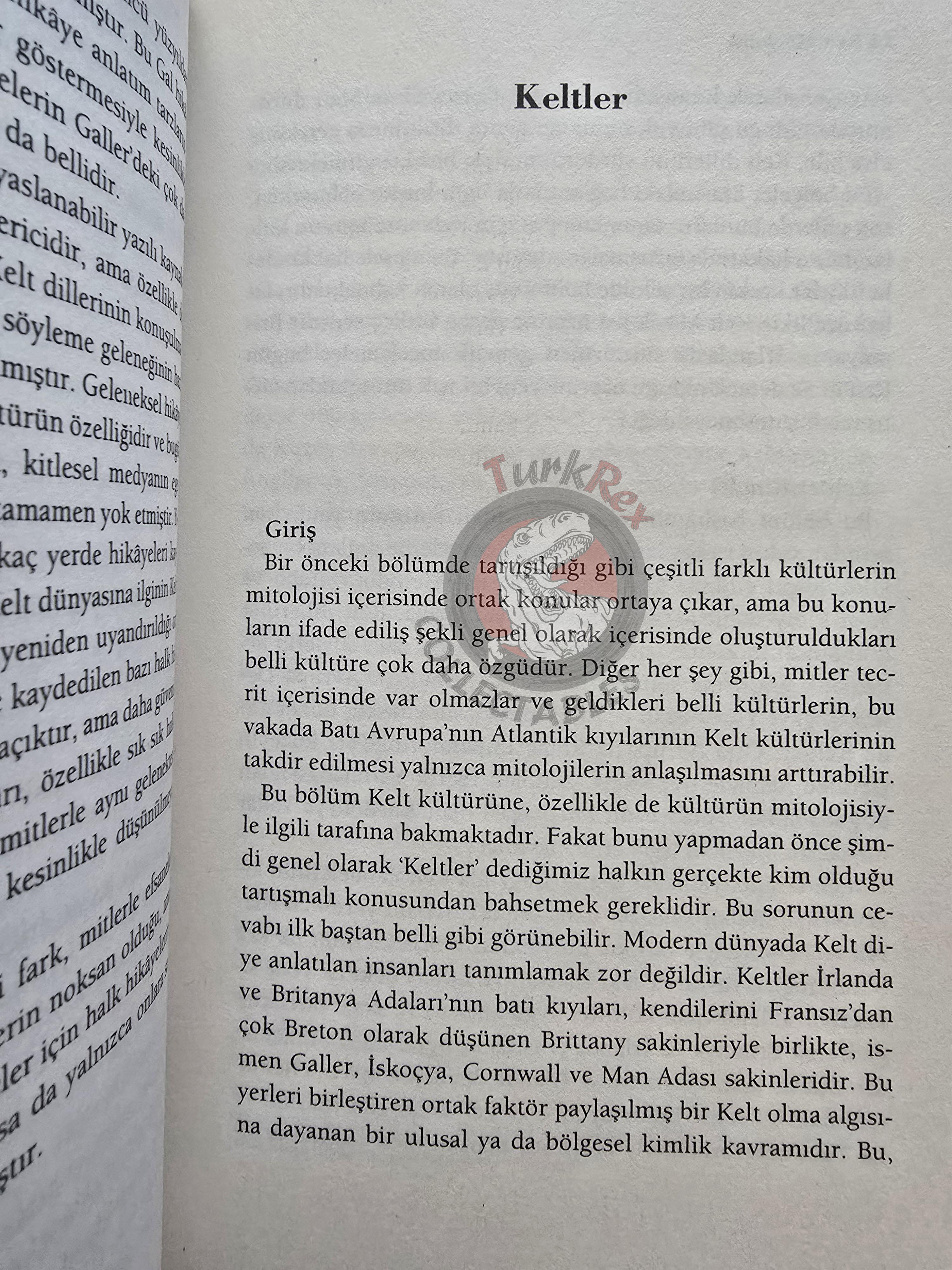 Bill Price – Celtic Myths 2011 1st Turkish Book Turkey