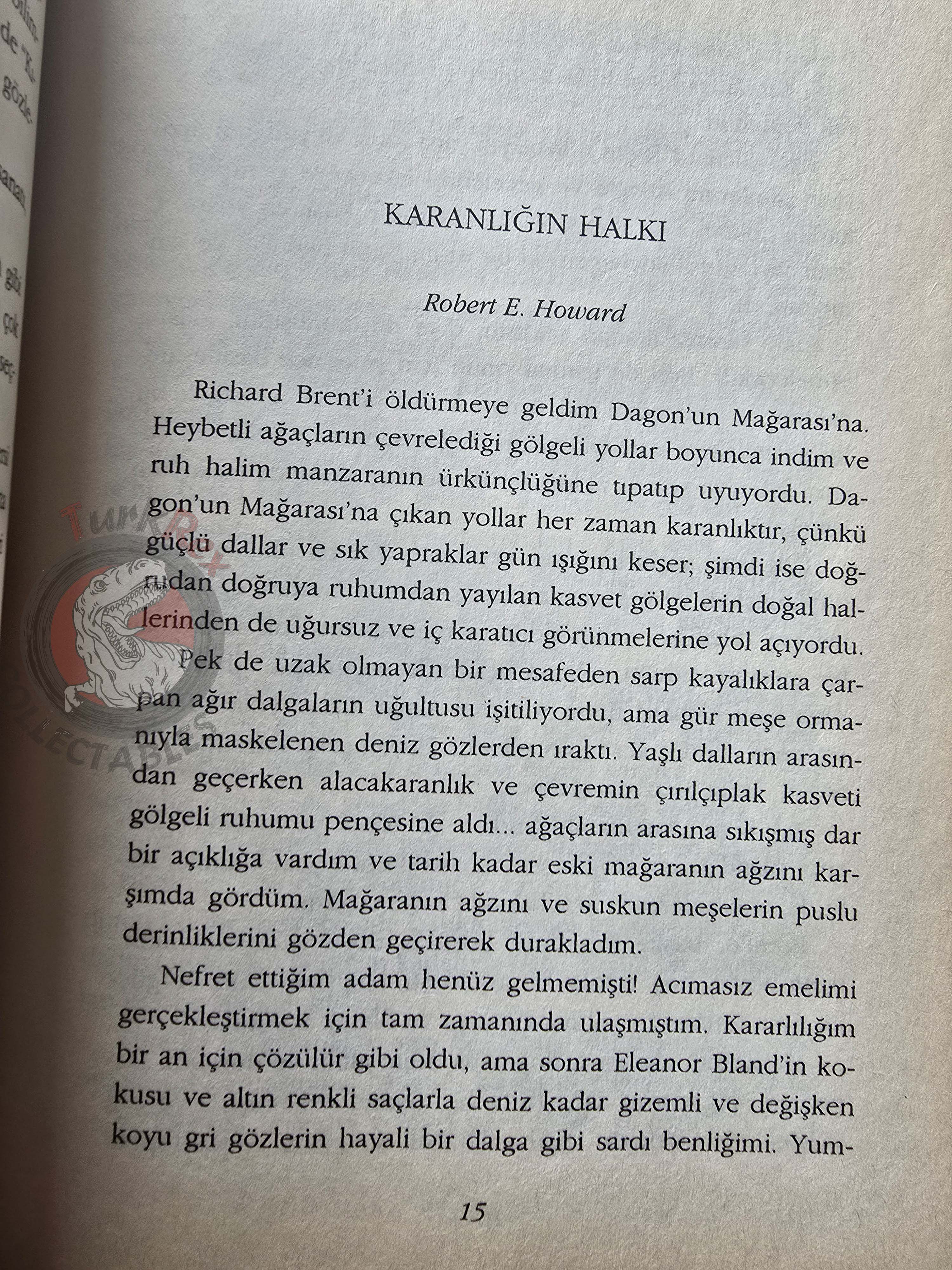 Robert E. Howard - Sword and Sorcery 2000 1st Turkish Book Turkey Conan Frank Frazetta