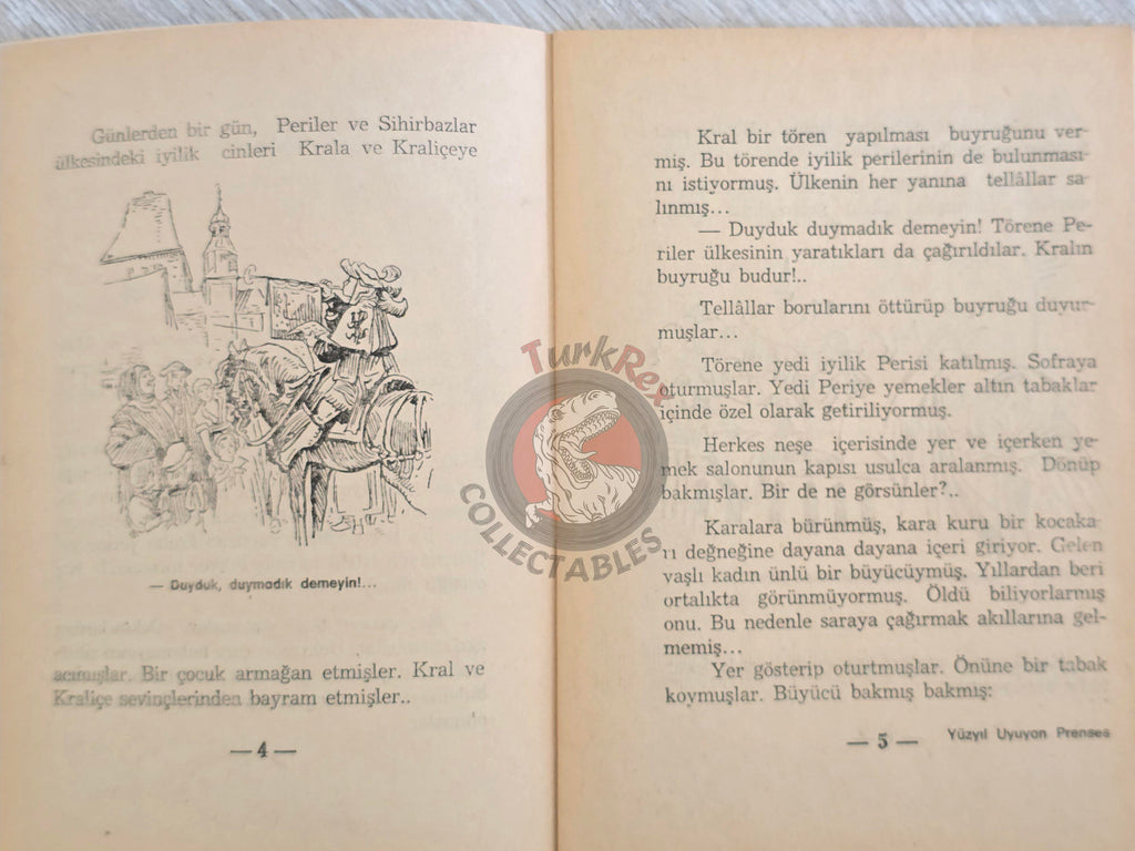Grimm Brothers –  Sleeping Beauty 1975 Turkish Book Turkey Illustrated