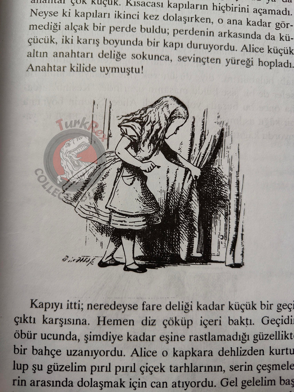 Lewis Carroll – Alice in Wonderland 2000 Turkish Book Turkey Illustrated John Tenniel