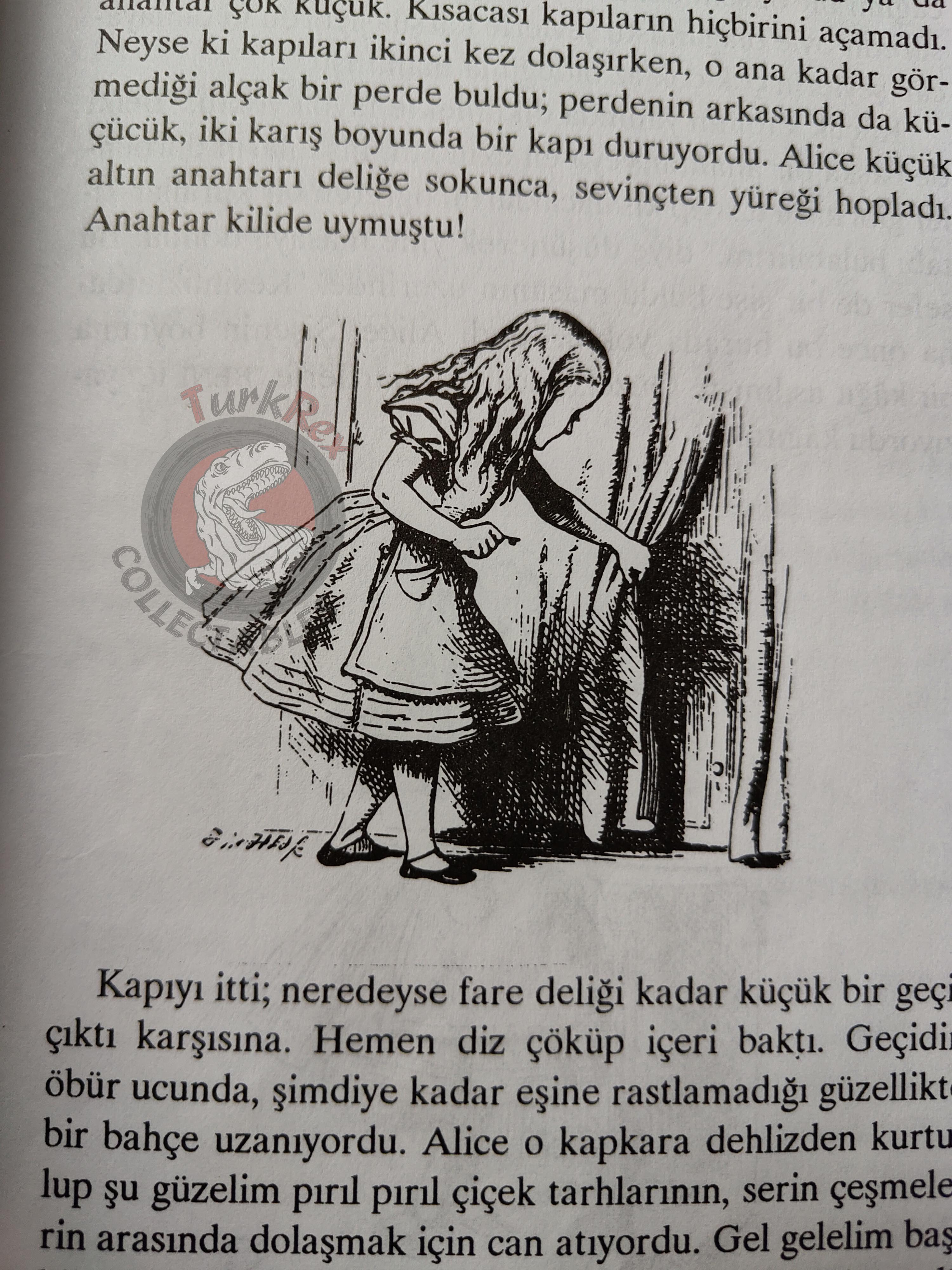 Lewis Carroll – Alice in Wonderland 2000 Turkish Book Turkey Illustrated John Tenniel