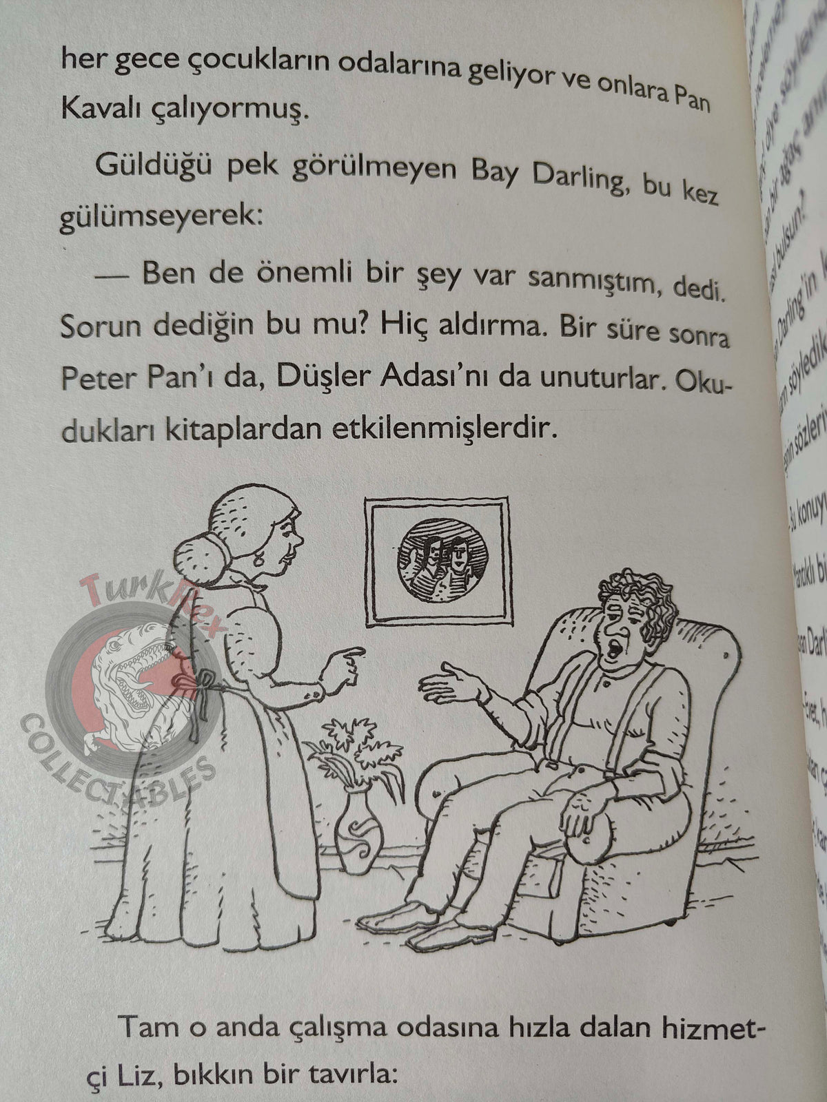 J. M. Barrie – Peter Pan 2011 Turkish Book Turkey Illustrated 4