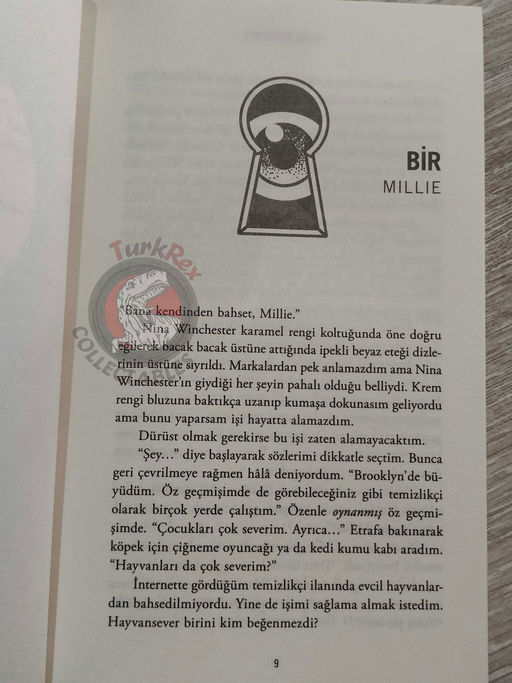 Freida McFadden – The Housemaid 2024 Turkish Book Turkey