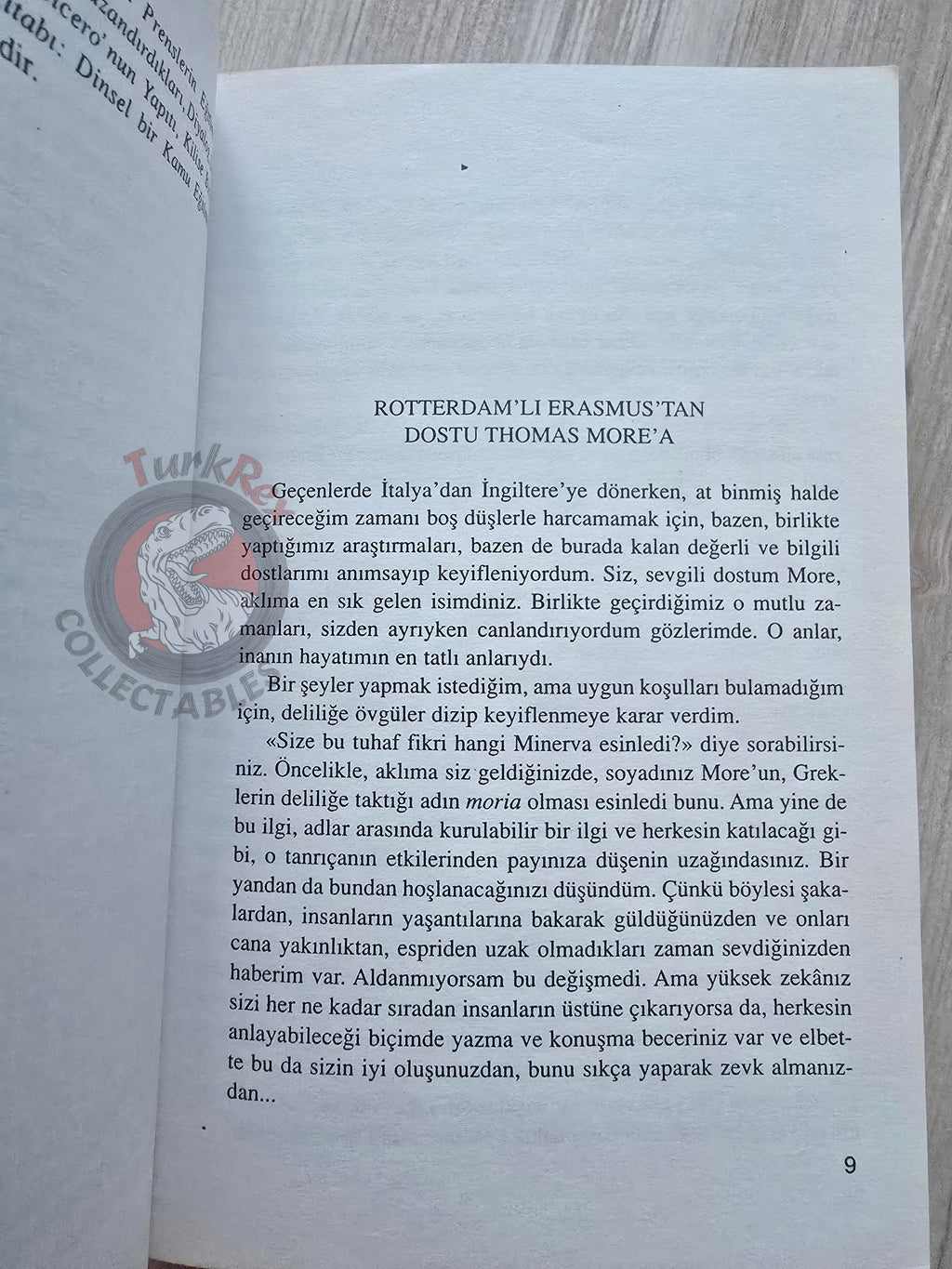 Desiderius Erasmus – Praise of Folly 2007 Turkish Book Turkey