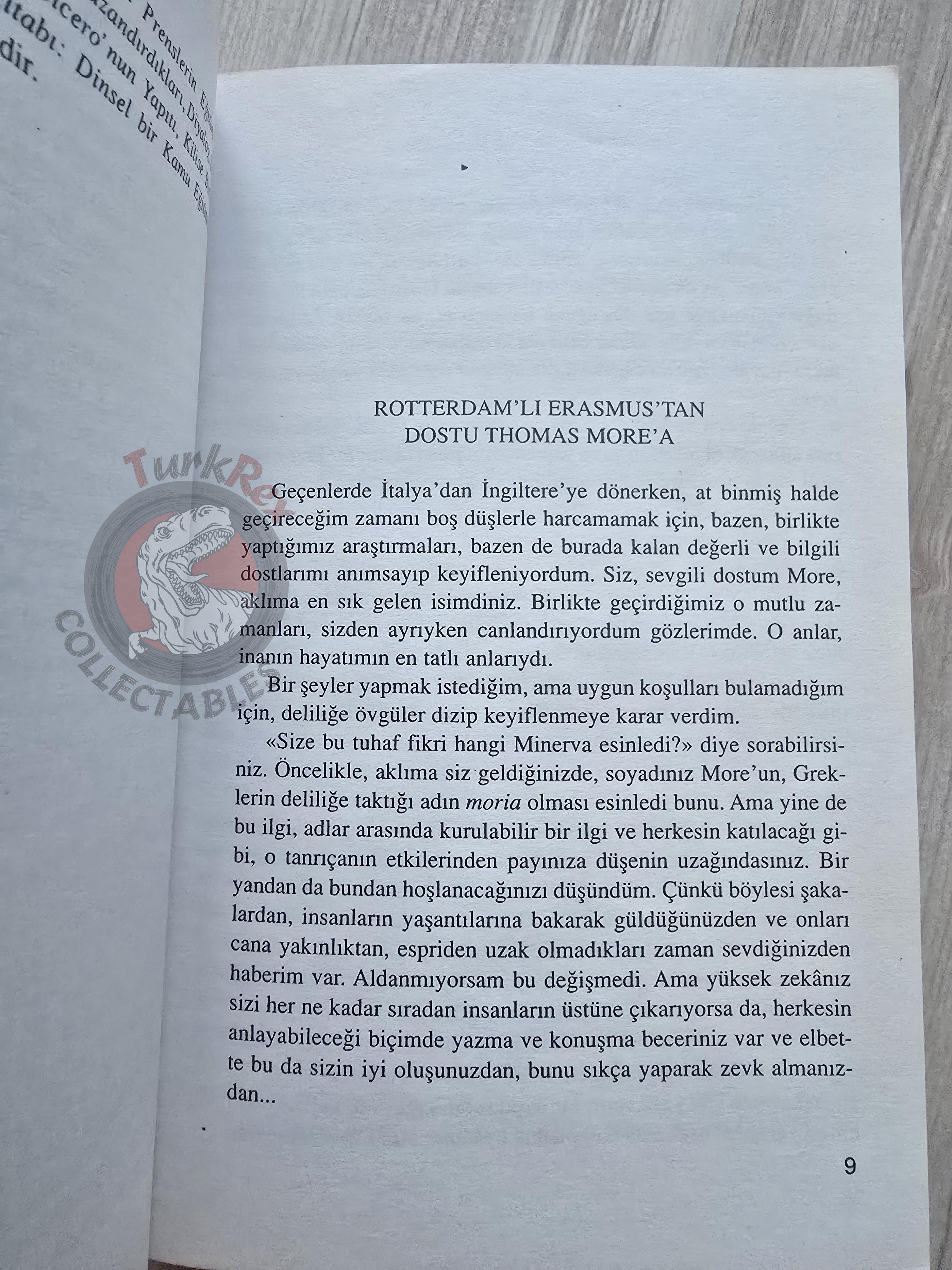 Desiderius Erasmus – Praise of Folly 2007 Turkish Book Turkey