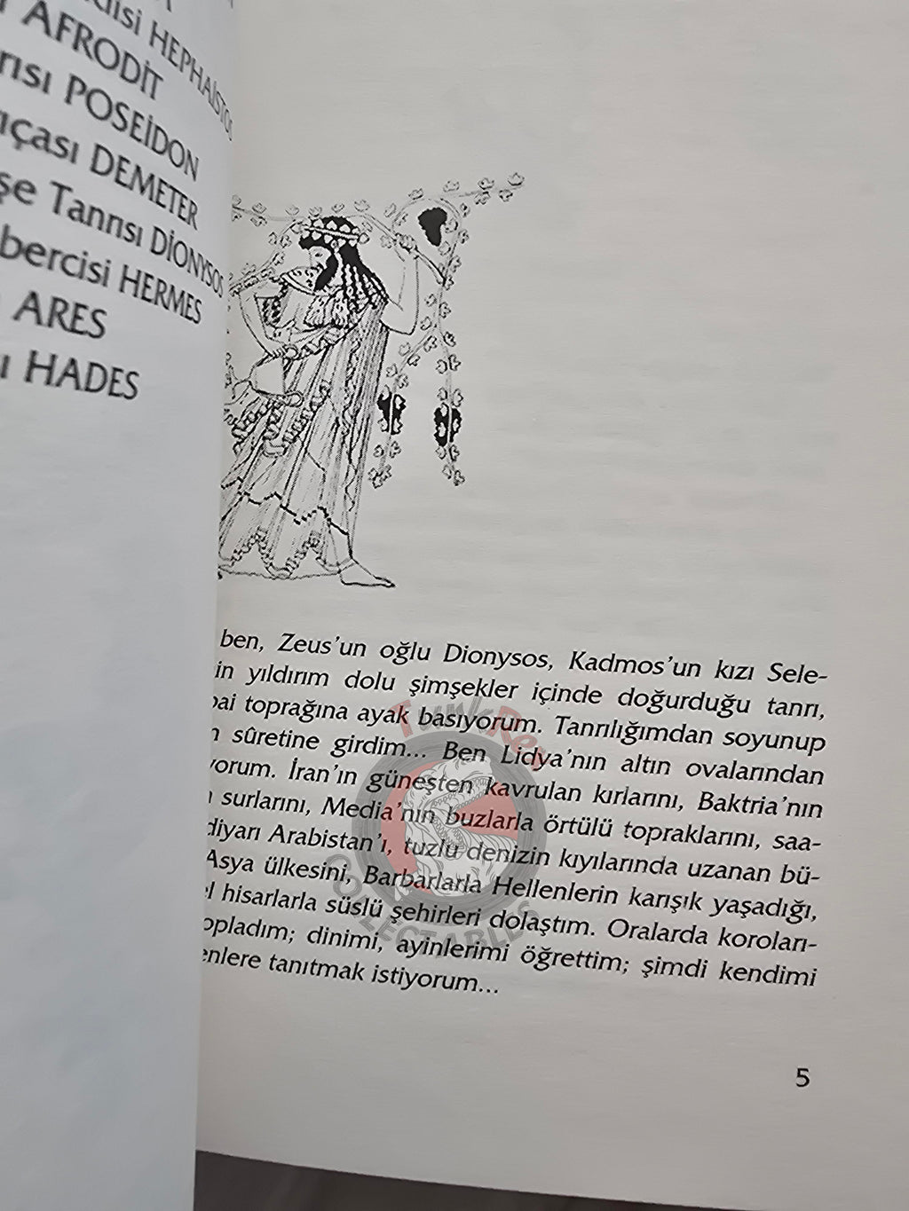 Dionysus – Robert Krugmann 2003 Turkish Book Turkey Illustrated by Turkish Artist