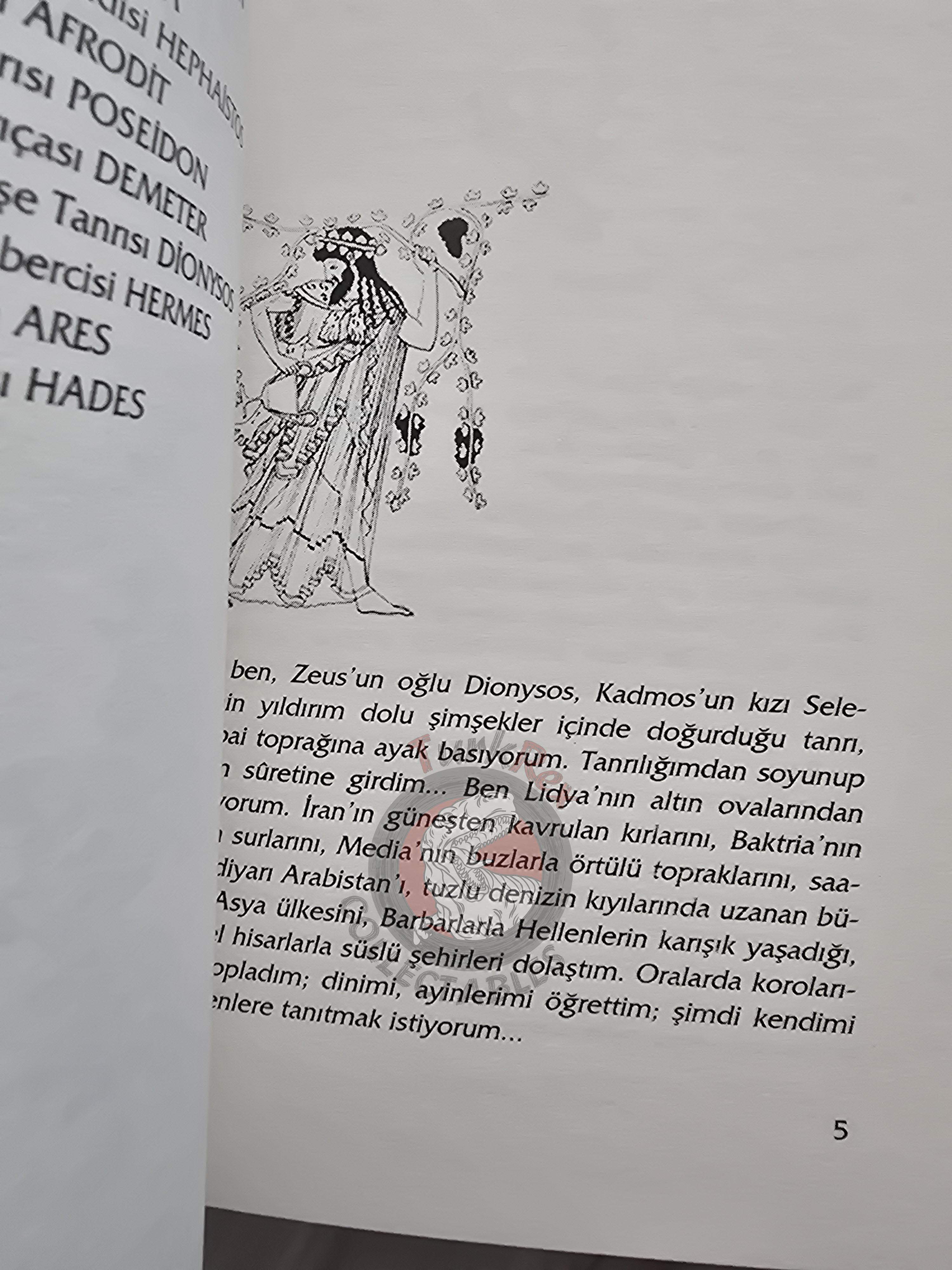 Dionysus – Robert Krugmann 2003 Turkish Book Turkey Illustrated by Turkish Artist