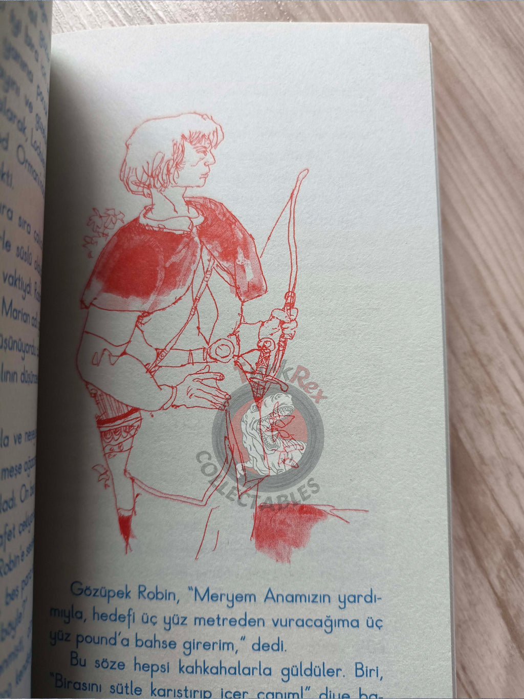Robin Hood – Howard Pyle 2010 Turkish Book Turkey Illustrated