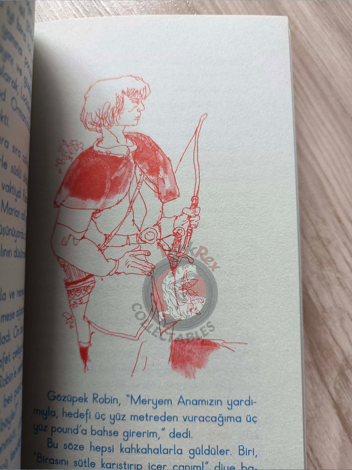 Robin Hood – Howard Pyle 2010 Turkish Book Turkey Illustrated