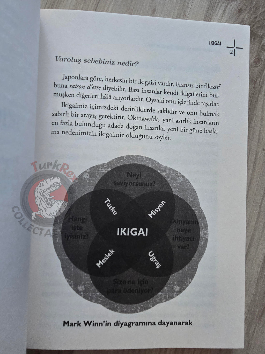 Héctor García & Francesc Miralles – Ikigai: The Japanese Secret 2017 Turkish Book Turkey