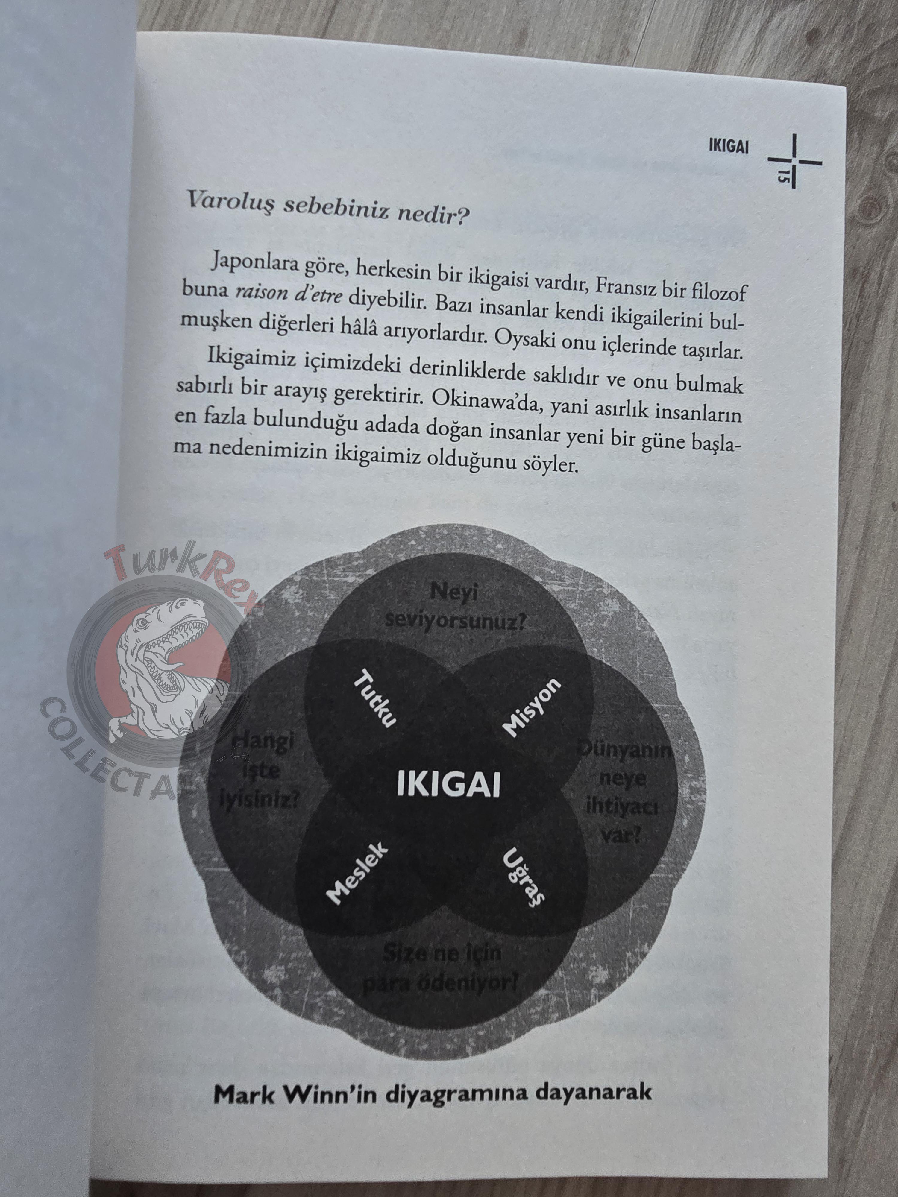 Héctor García & Francesc Miralles – Ikigai: The Japanese Secret 2017 Turkish Book Turkey