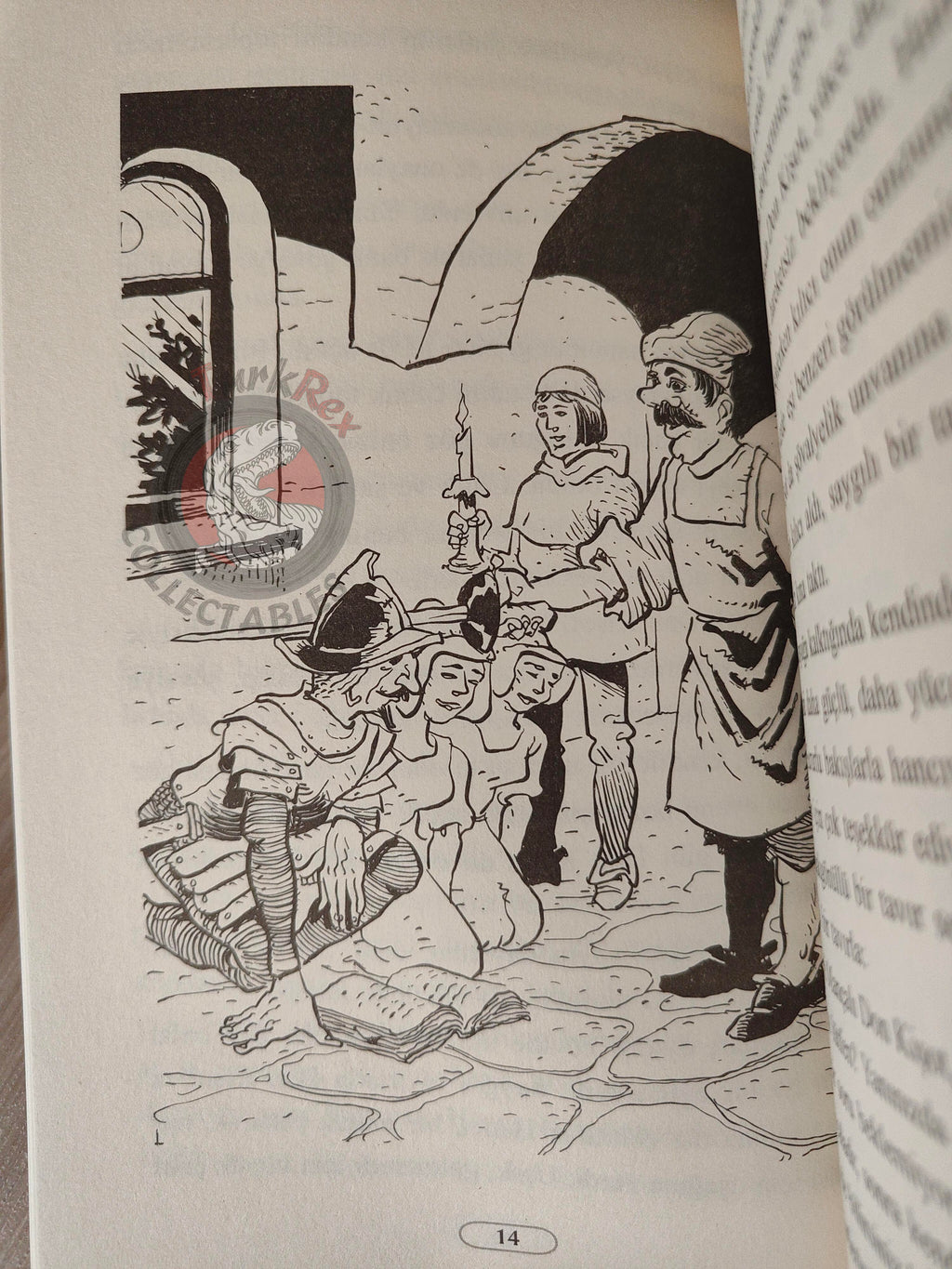 Miguel de Cervantes – Don Quixote 2013 Turkish Book Turkey Illustrated