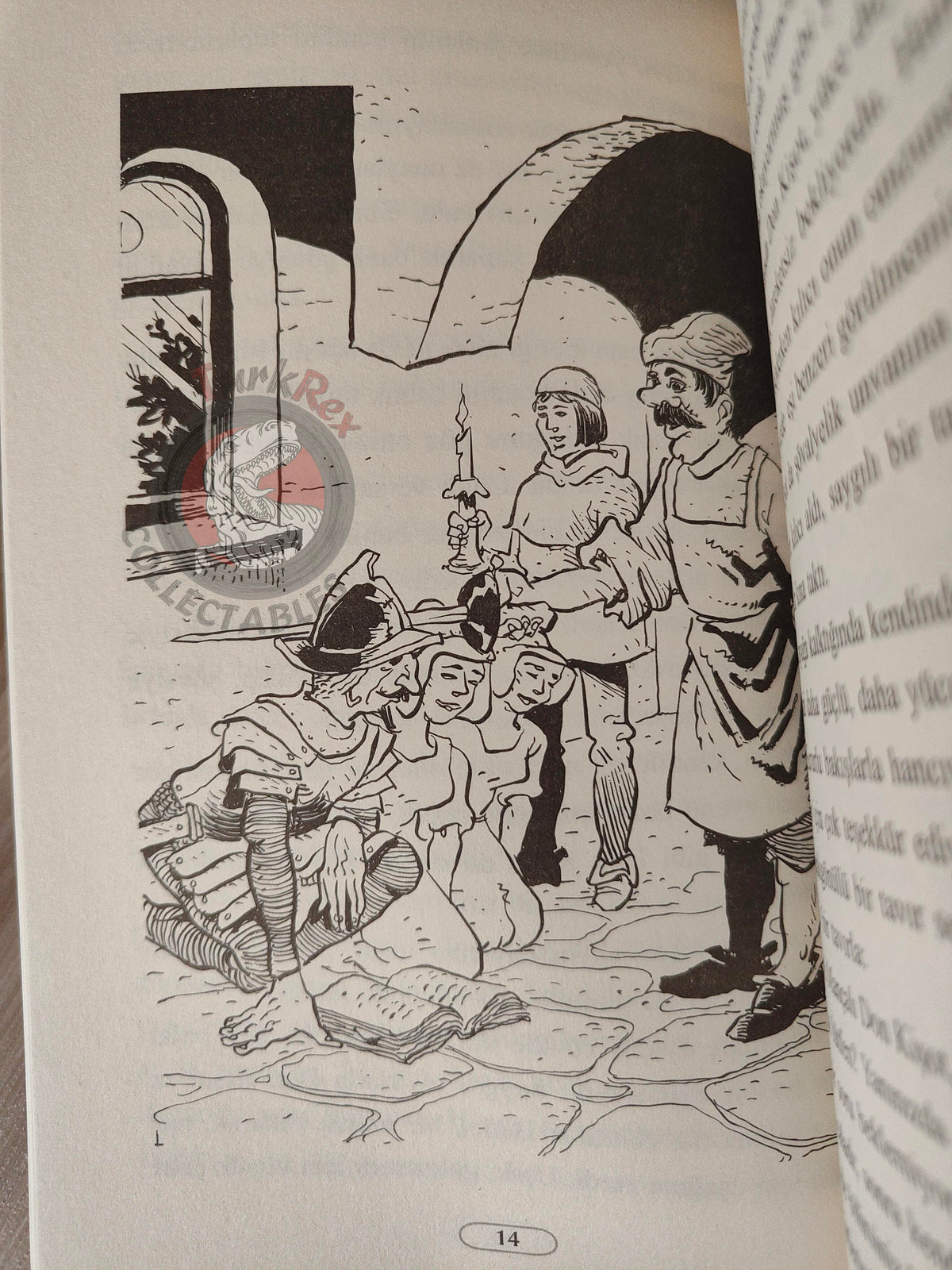 Miguel de Cervantes – Don Quixote 2013 Turkish Book Turkey Illustrated