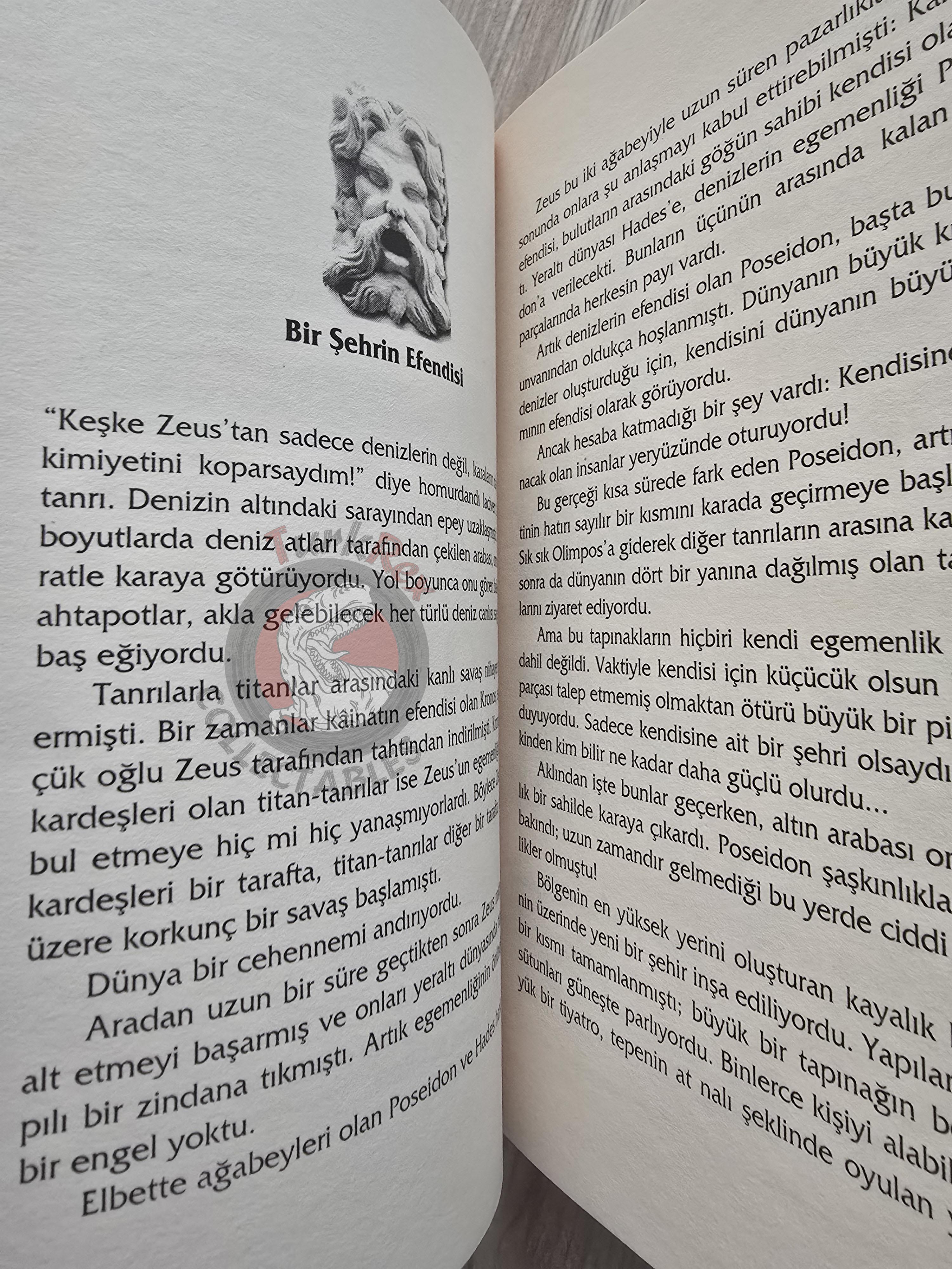 Poseidon – Robert Krugmann 2003 Turkish Book Turkey Illustrated by Turkish Artist