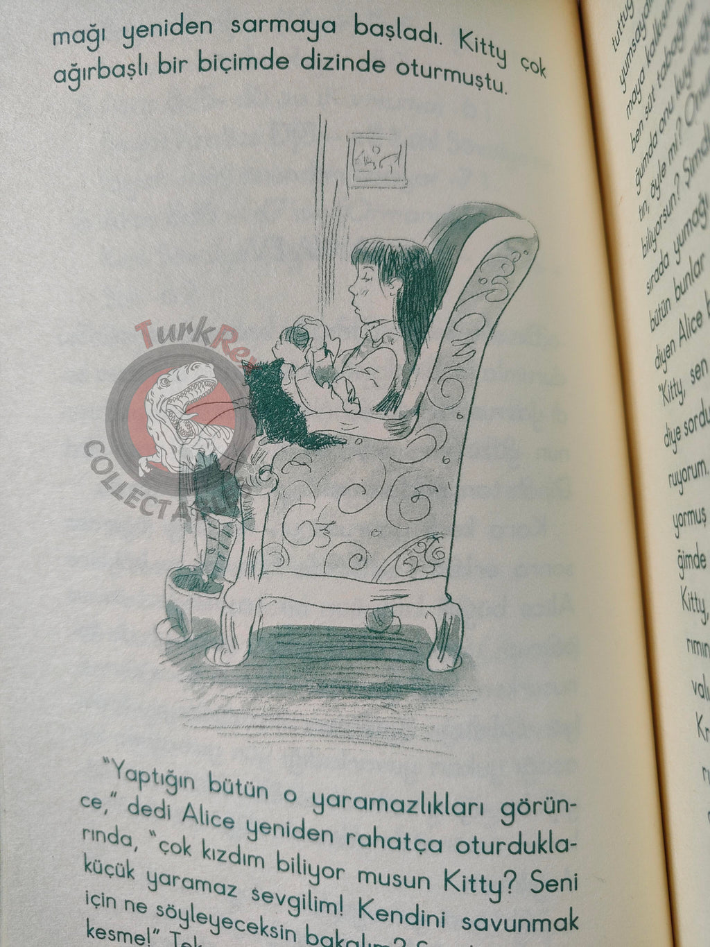 Lewis Carroll – Through the Looking-Glass 2006 Turkish Book Turkey Illustrated