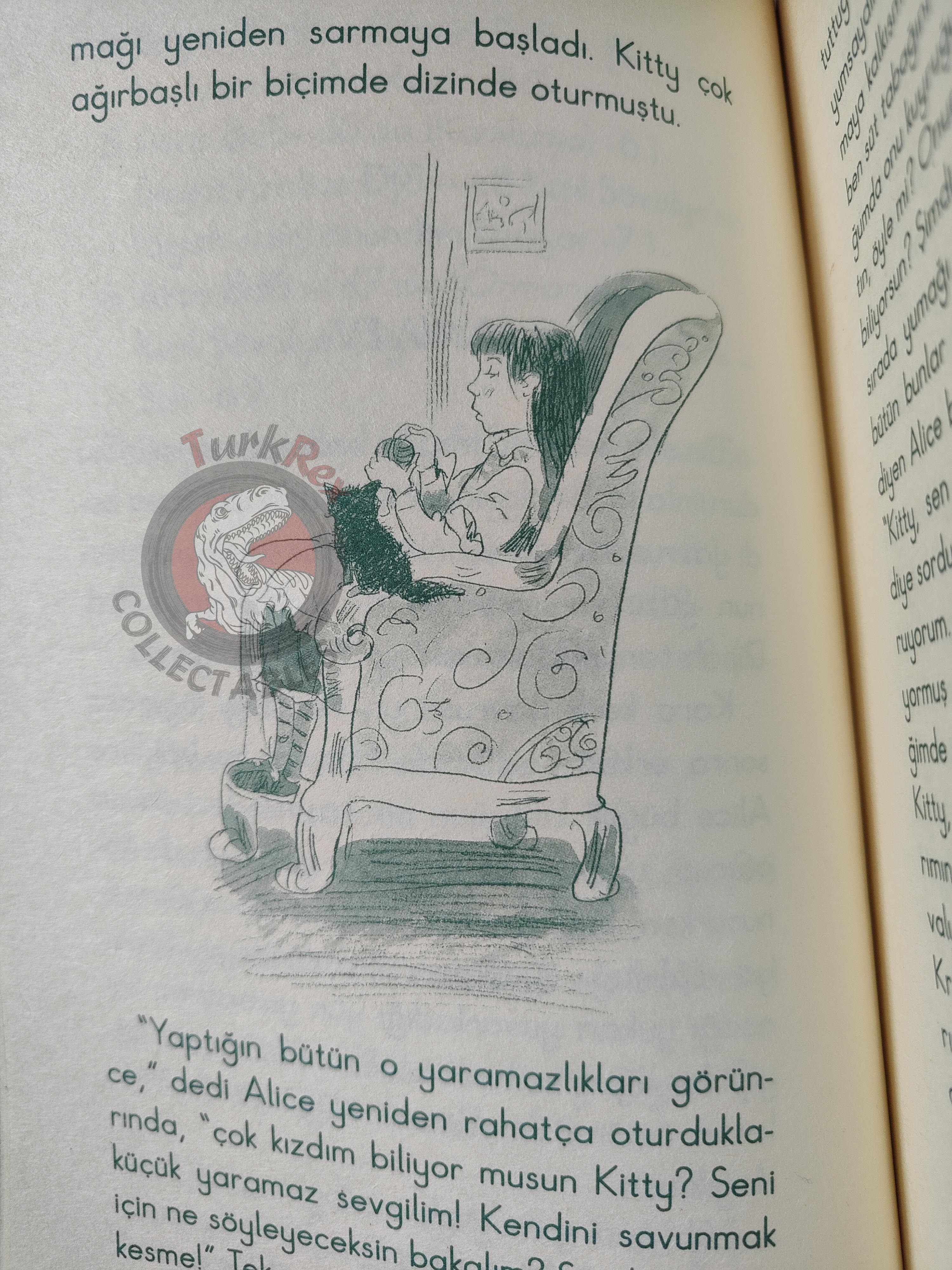 Lewis Carroll – Through the Looking-Glass 2006 Turkish Book Turkey Illustrated