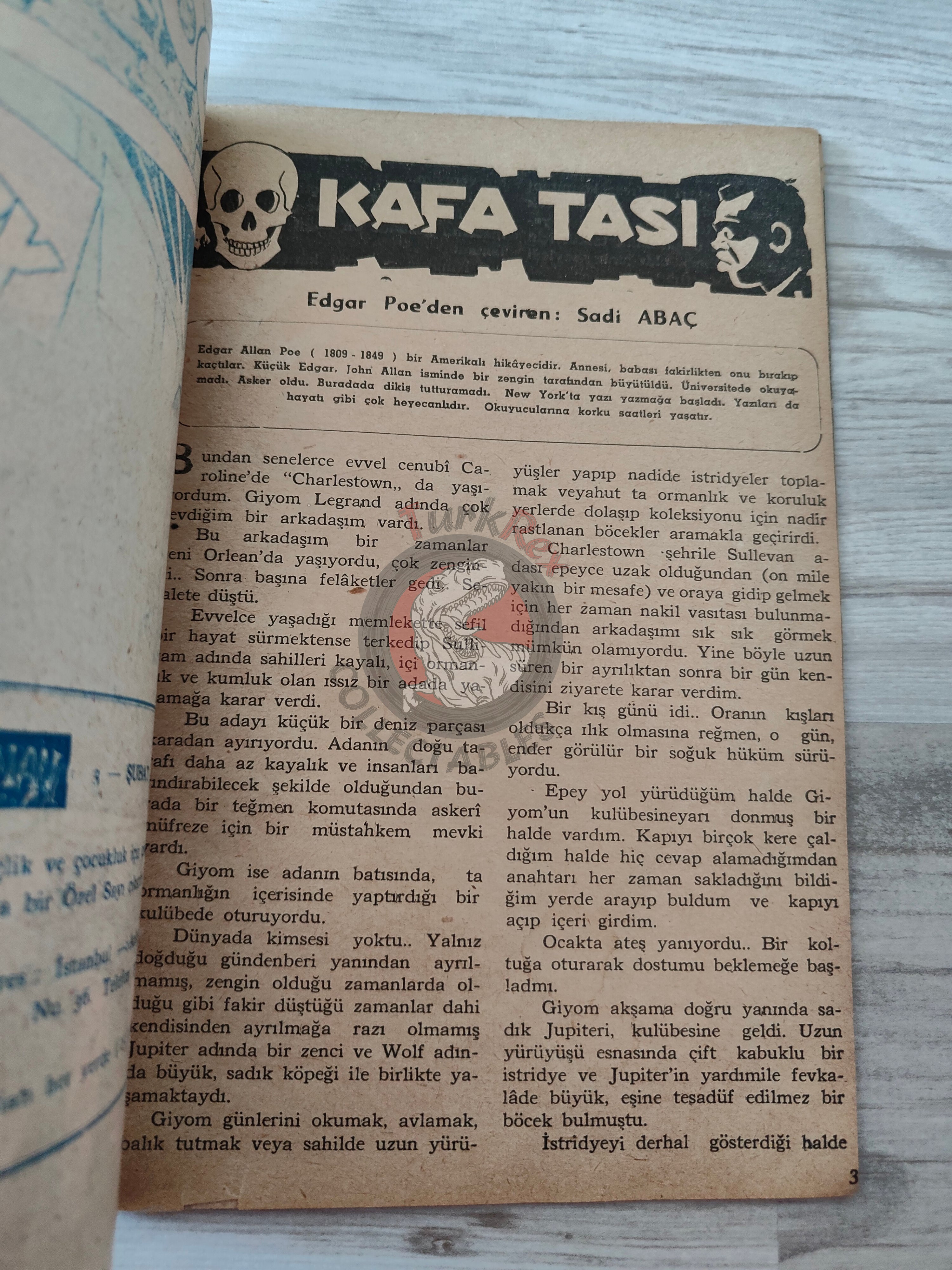 1001 Roman 1944 The Green Nest Turkish Comic Mag Turkey