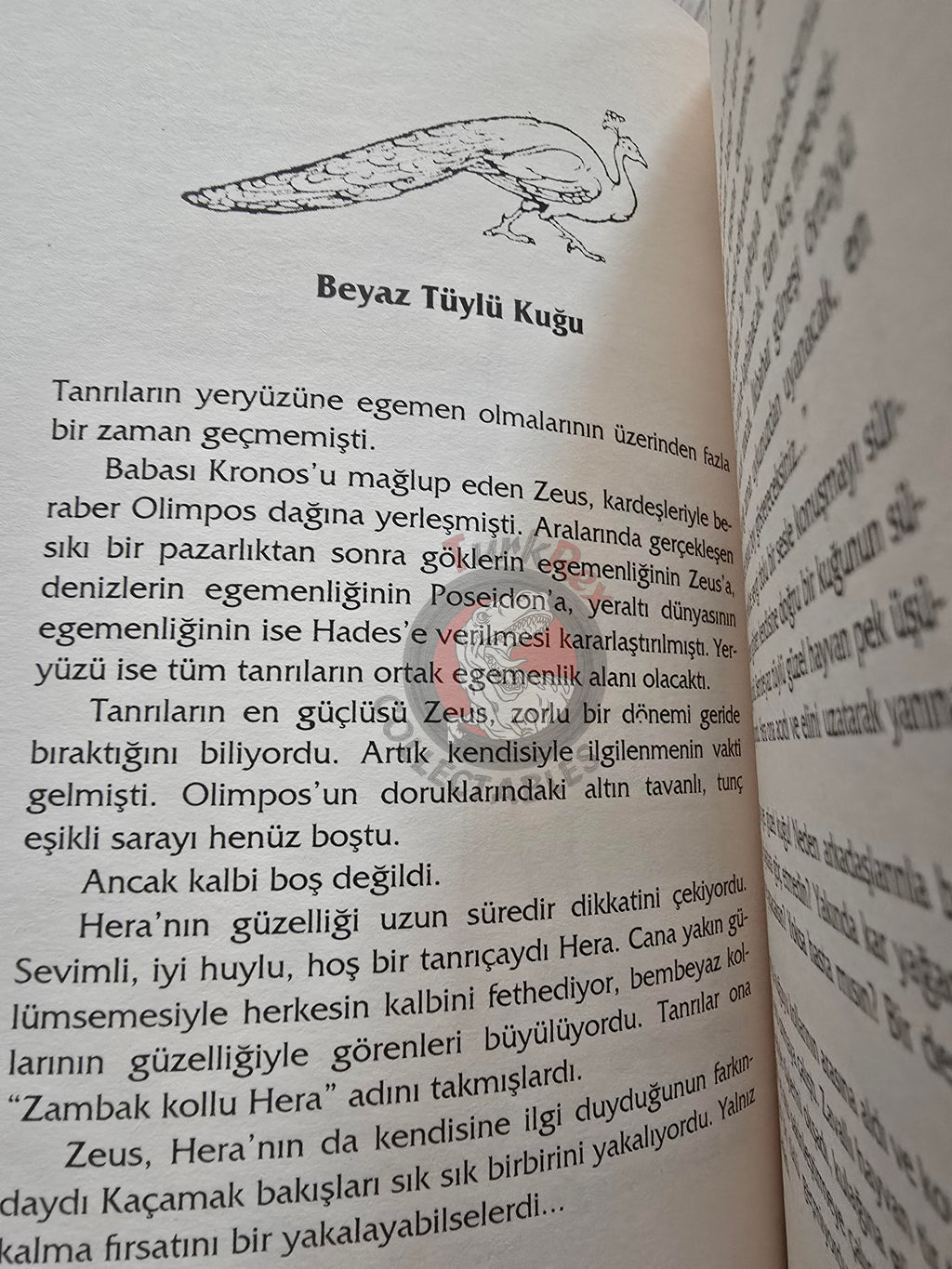 Hera – Robert Krugmann 2003 Turkish Book Turkey Illustrated by Turkish Artist