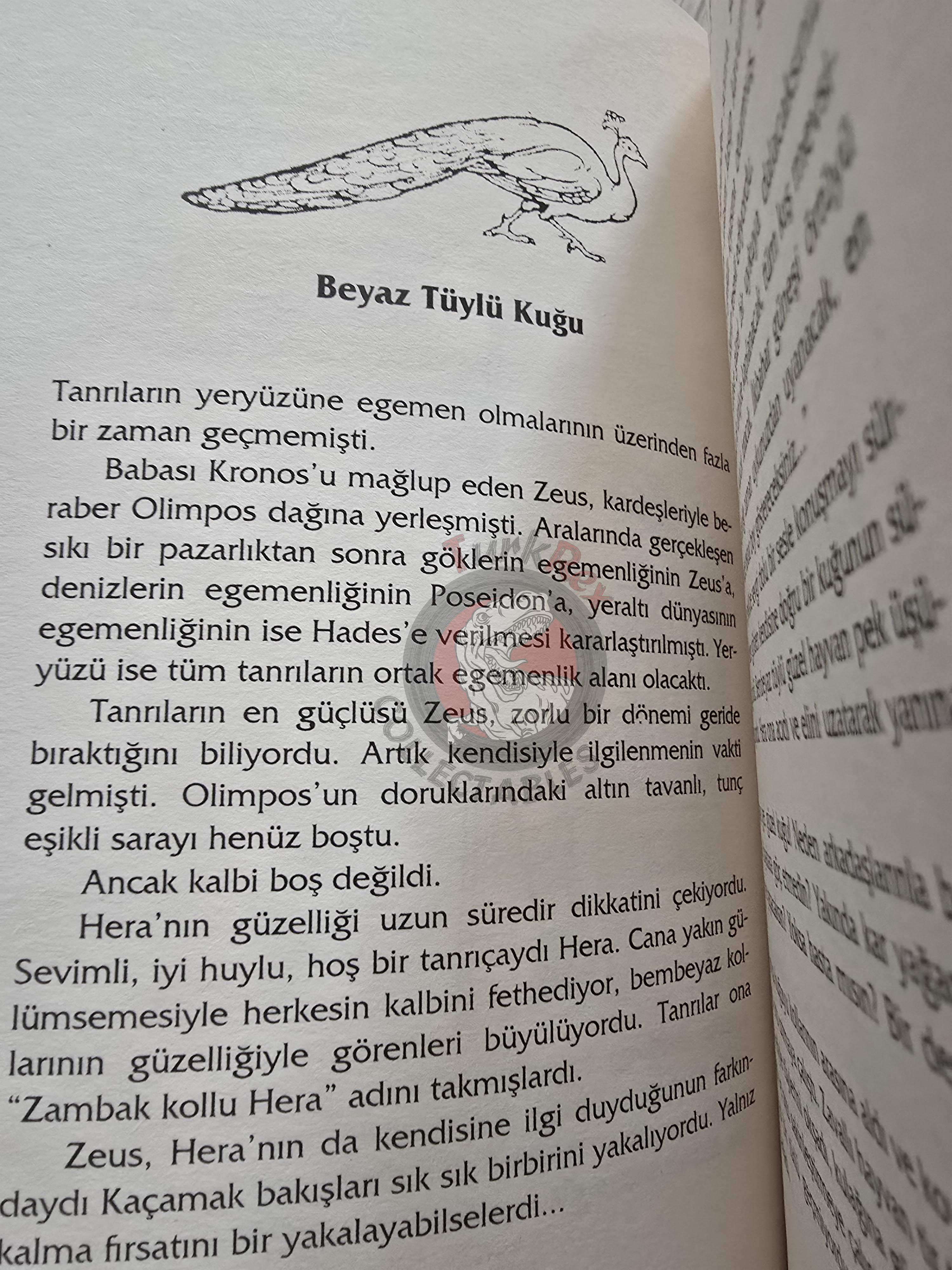 Hera – Robert Krugmann 2003 Turkish Book Turkey Illustrated by Turkish Artist