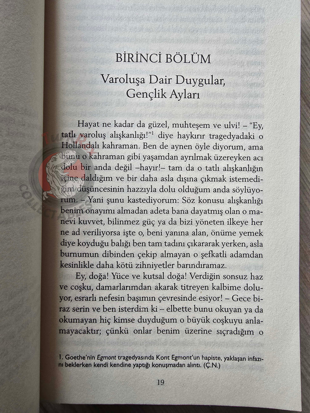 E. T. A. Hoffmann – The Life and Opinions of the Tomcat Murr 2019 Turkish Book Turkey