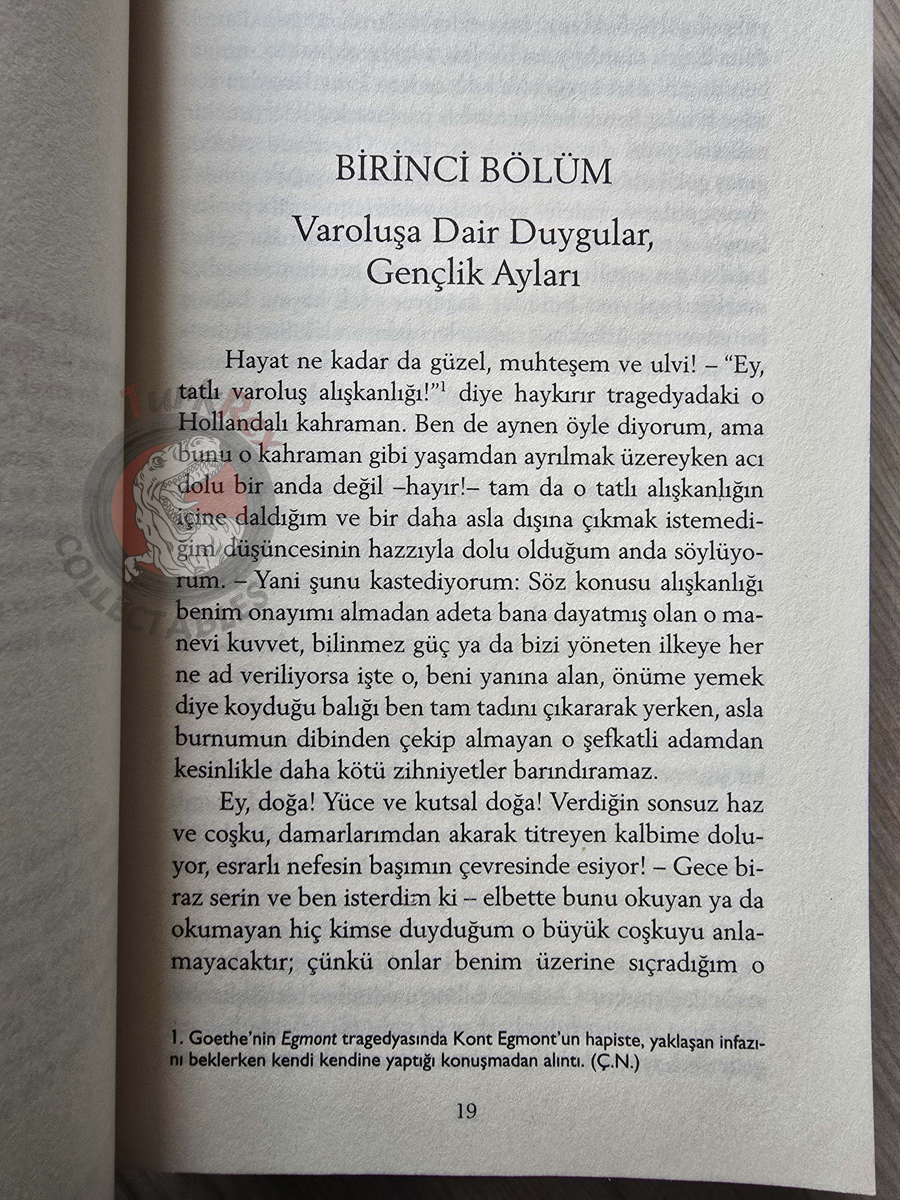 E. T. A. Hoffmann – The Life and Opinions of the Tomcat Murr 2019 Turkish Book Turkey
