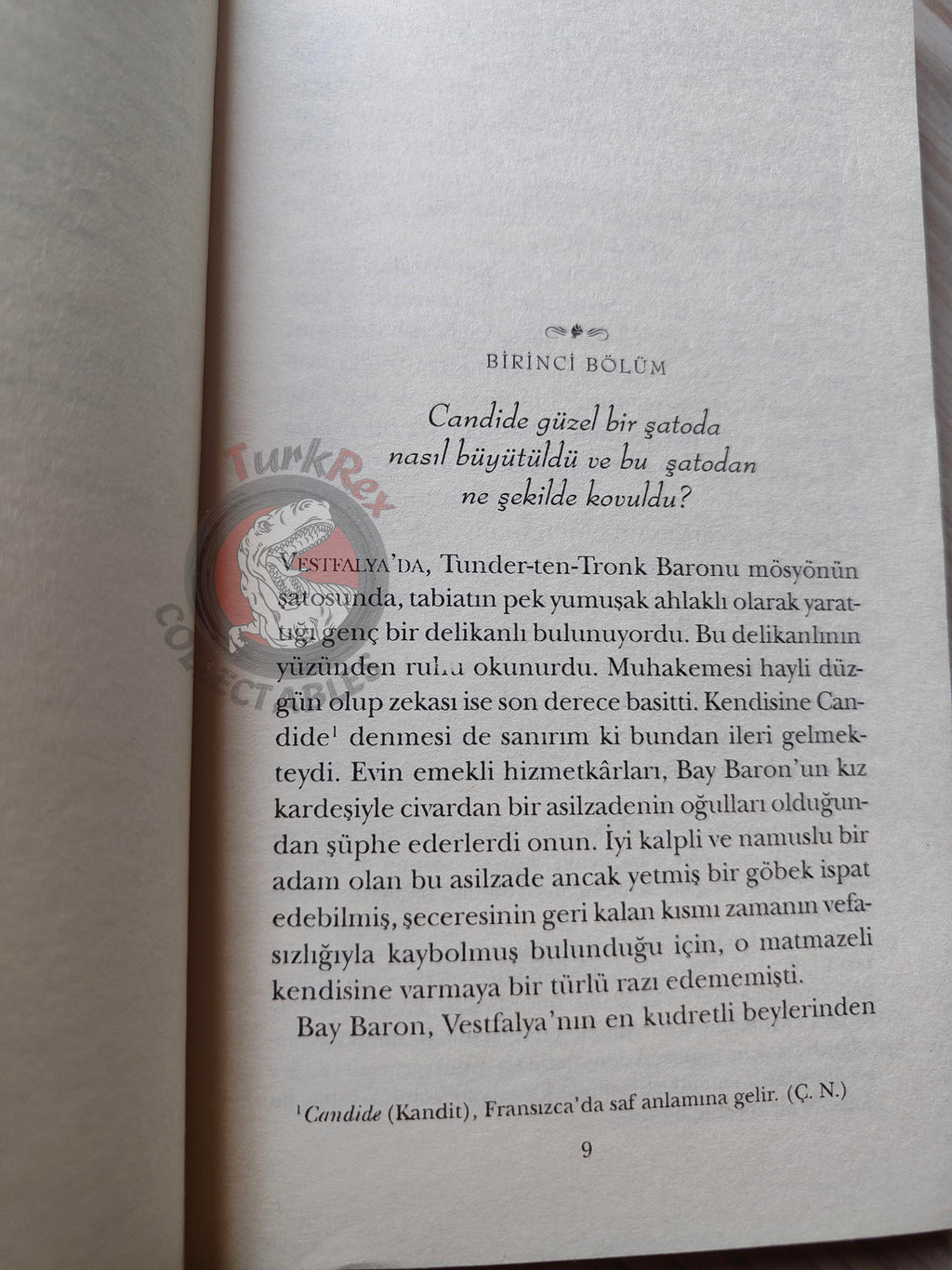 Voltaire – Candide 2002 Turkish Book Turkey