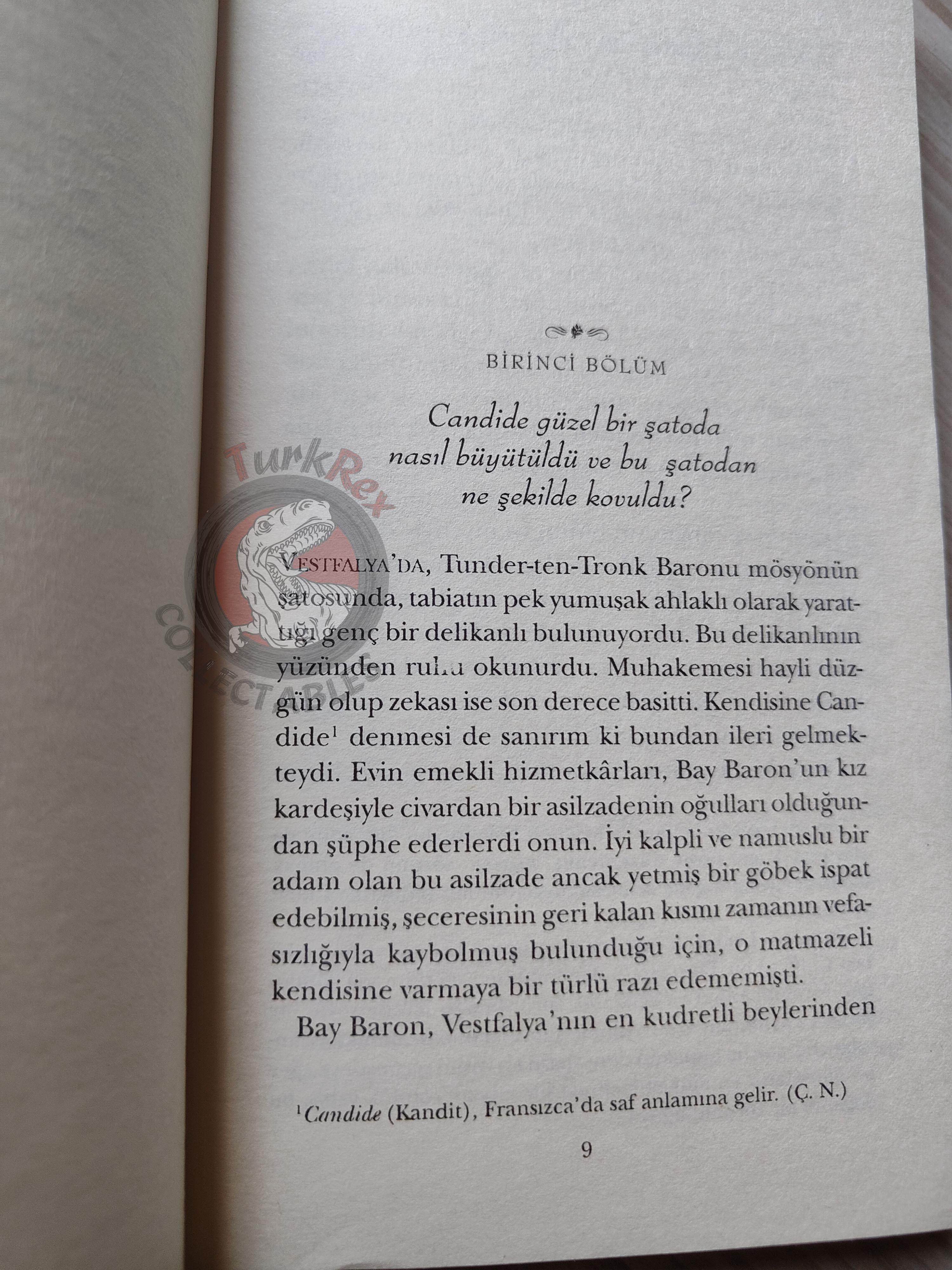 Voltaire – Candide 2002 Turkish Book Turkey