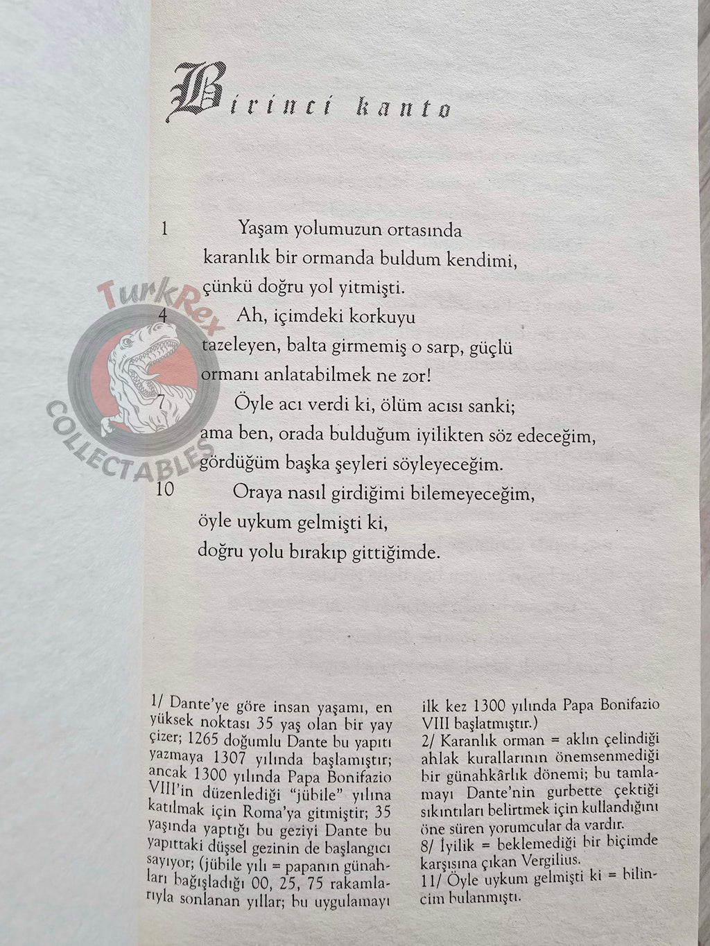Dante Alighieri – The Divine Comedy 2007 Turkish Book Turkey
