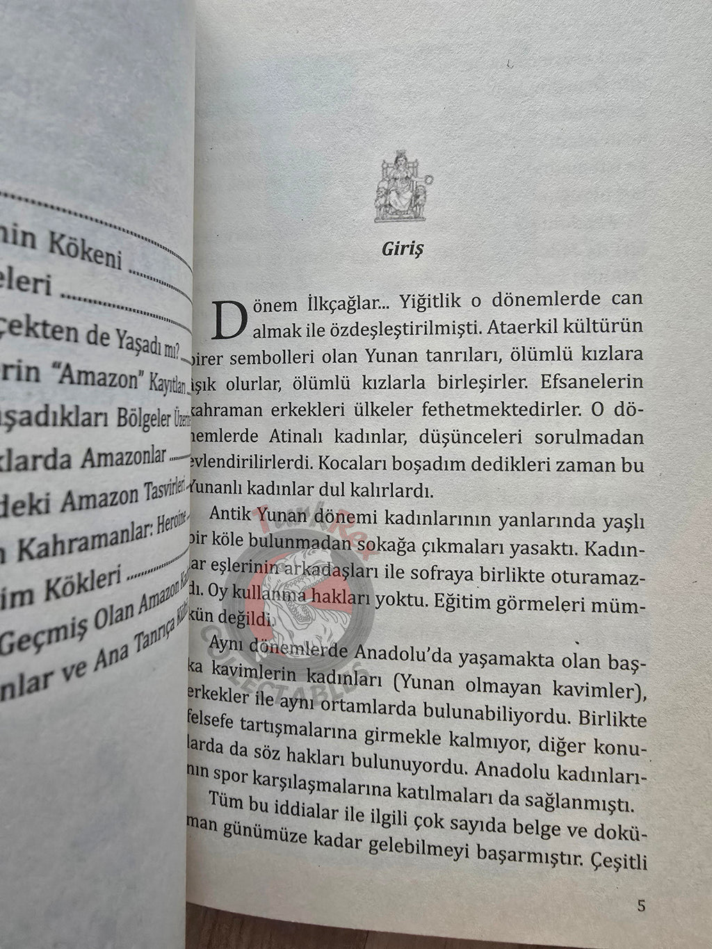 Tayfun Pekyürek – The Amazons 2011 Turkish Book Turkey