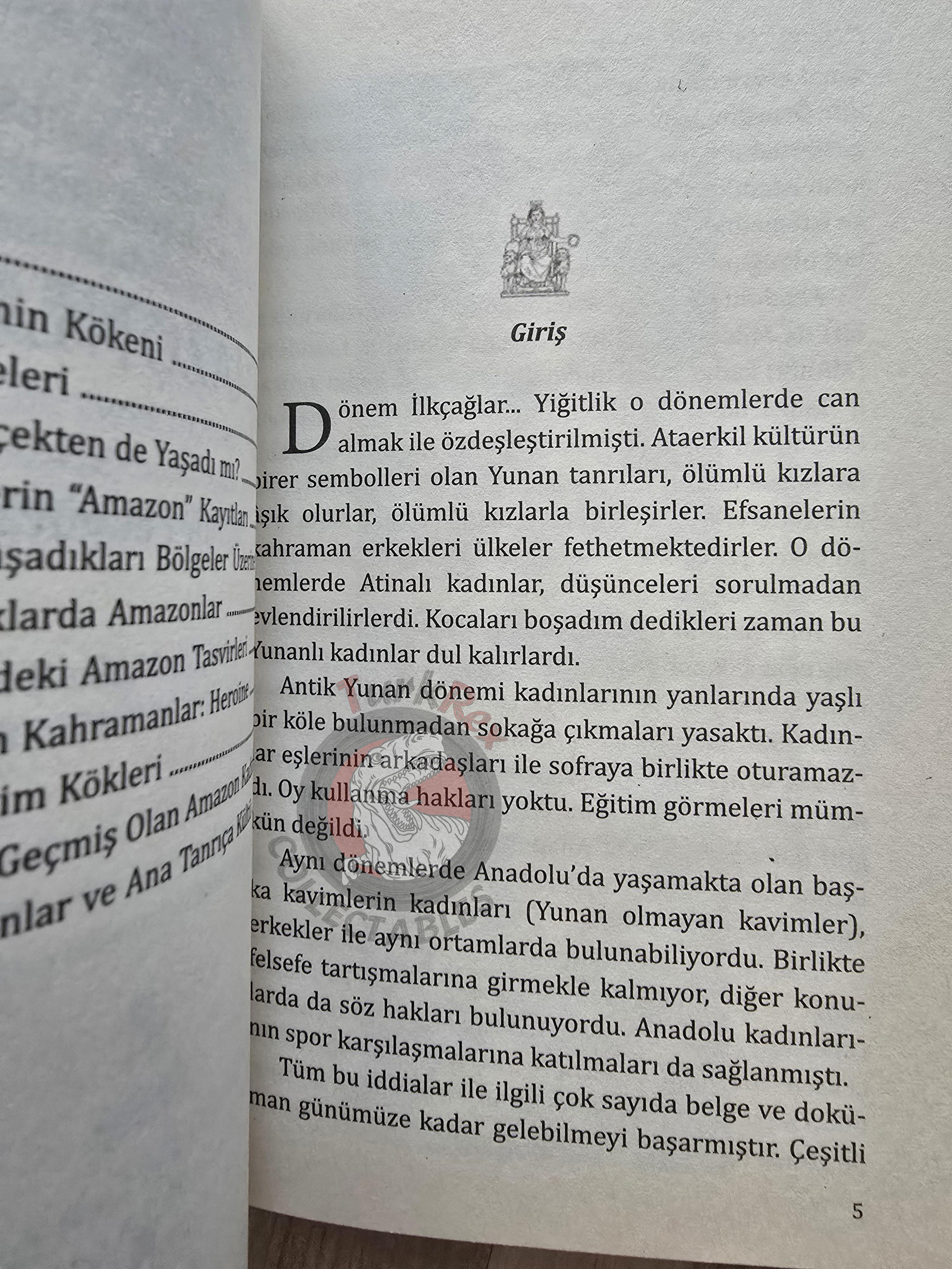 Tayfun Pekyürek – The Amazons 2011 Turkish Book Turkey