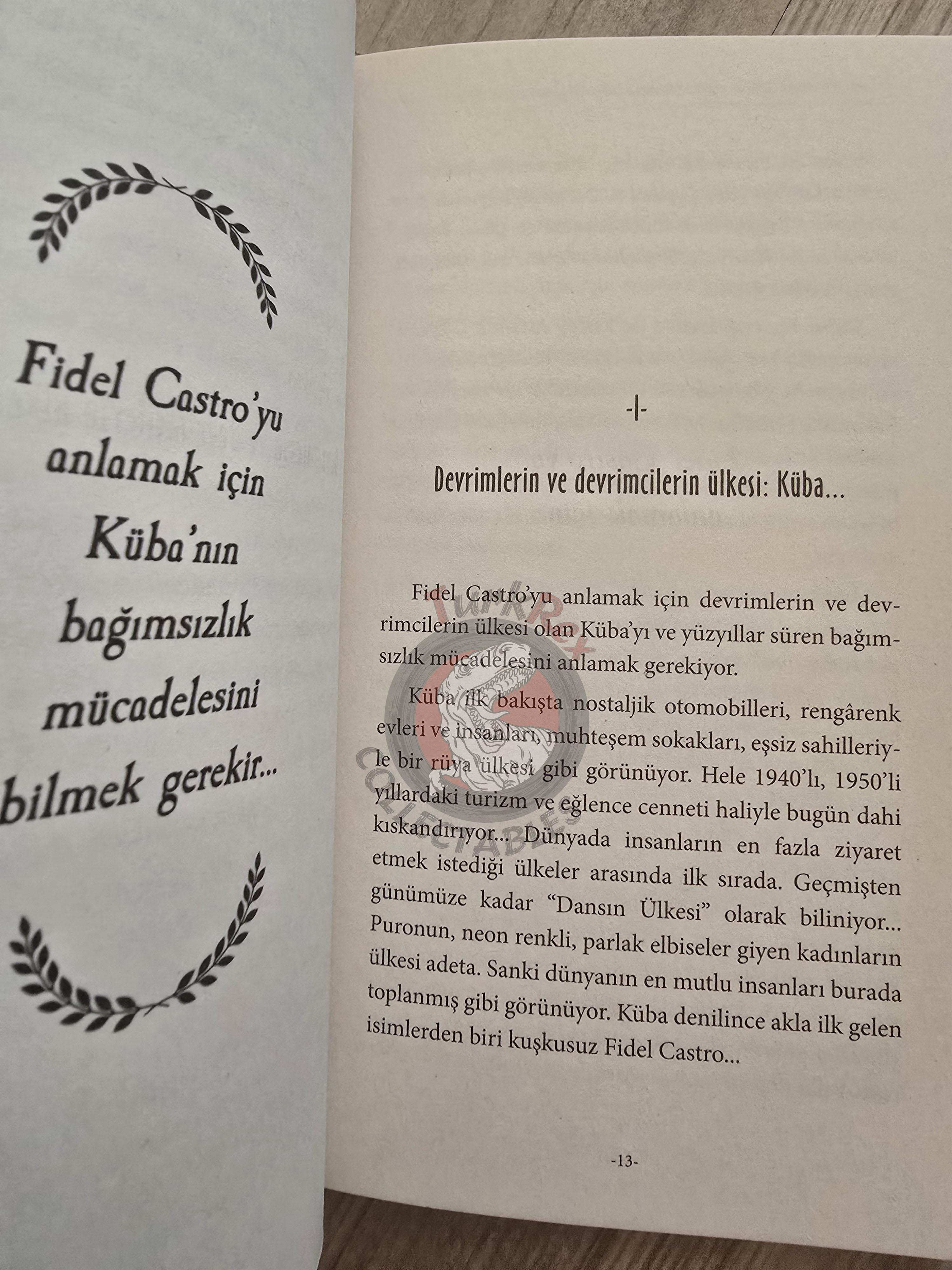Fidel Castro – Why Should Some People Be Rich? 20020 Turkish Book Turkey