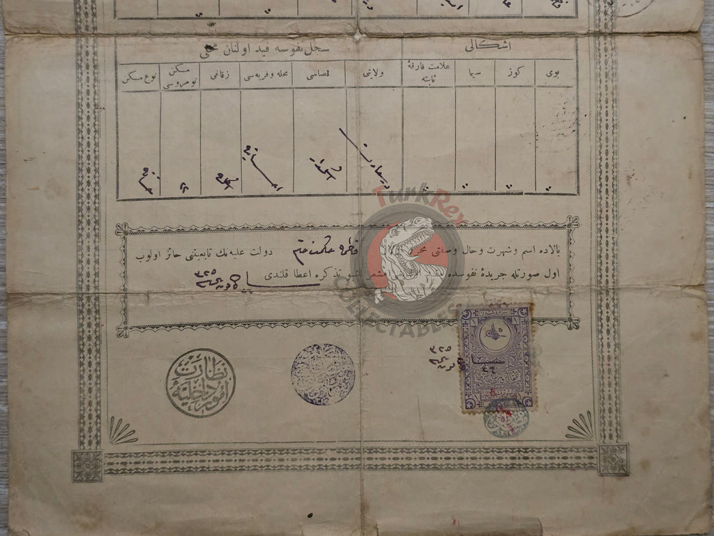 Ottoman Identity Document 1910 İstanbul Muslim Female Citizen Fatma Hikmet