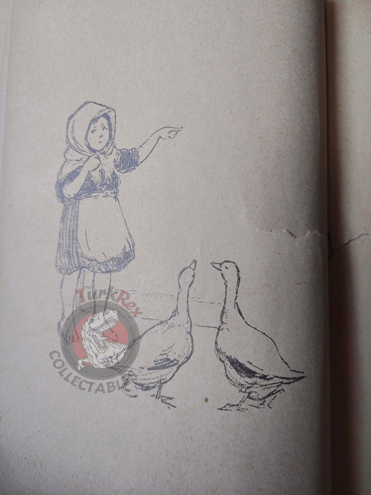 Lucy Fitch Perkins – The Irish Twins 1929 Turkish Book Turkey Illustrated