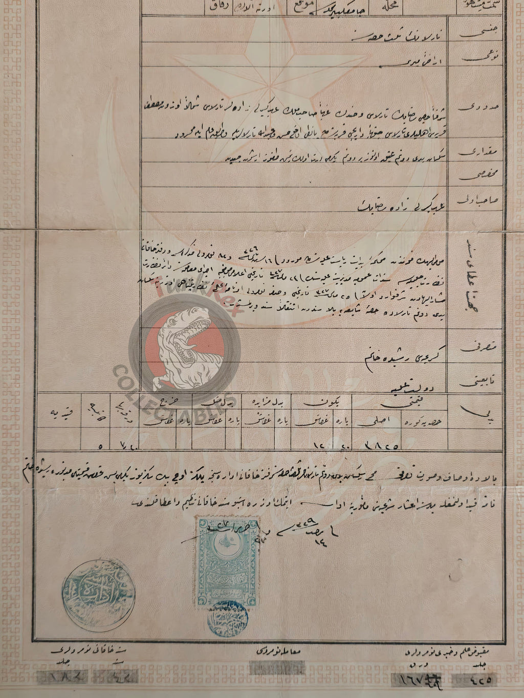 Ottoman 1911 Land Deed Field in Bolu Düzce Title Muslim Citizens Arapgirlizade