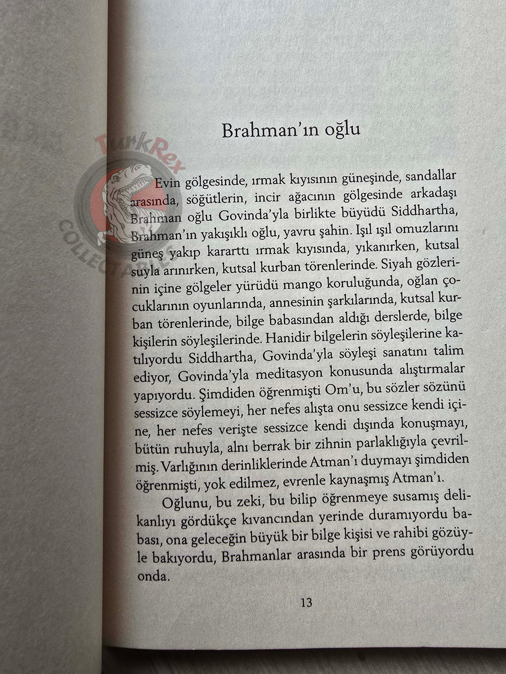 Hermann Hesse – Siddhartha 2013 Turkish Book Turkey