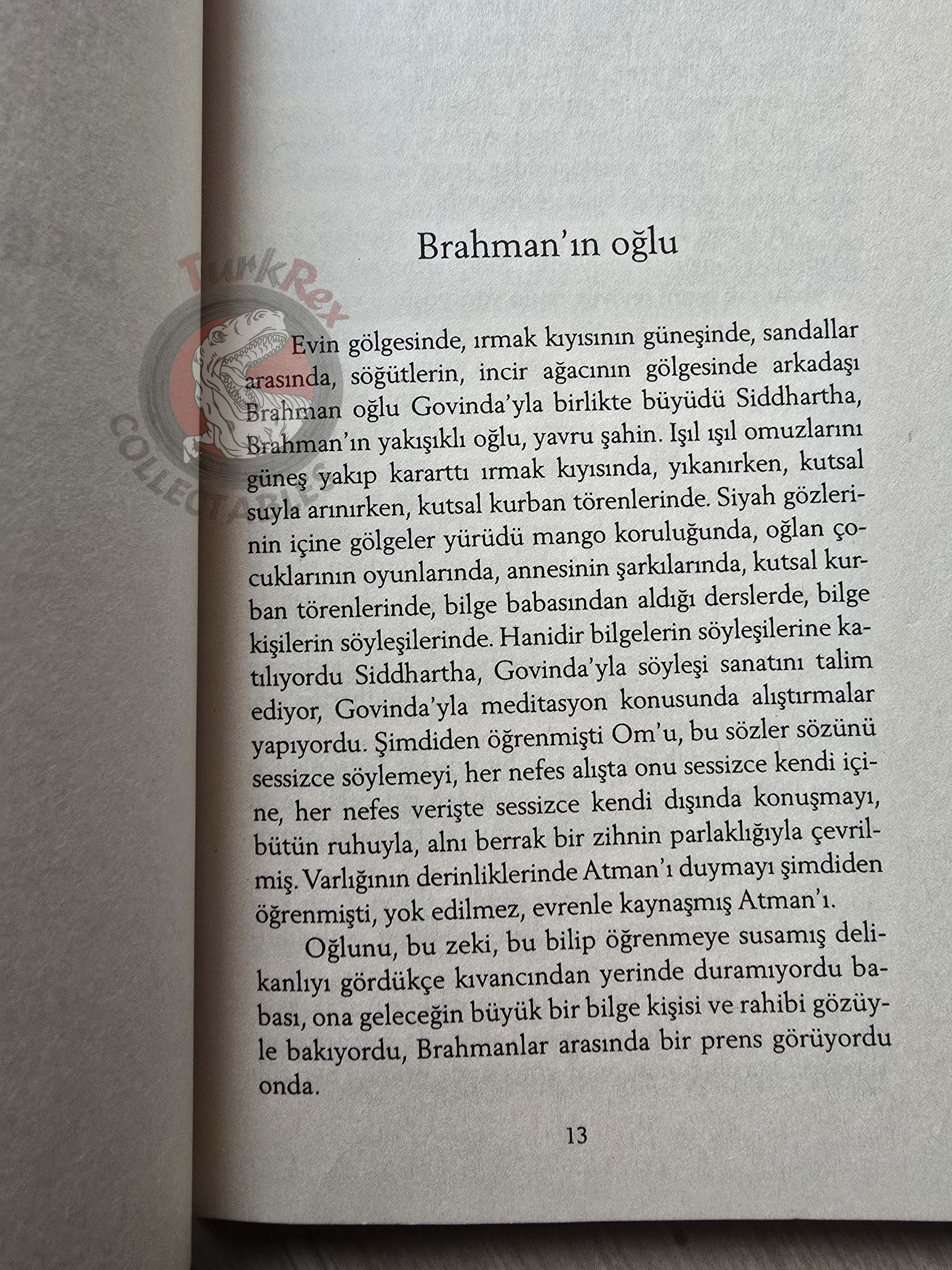 Hermann Hesse – Siddhartha 2013 Turkish Book Turkey
