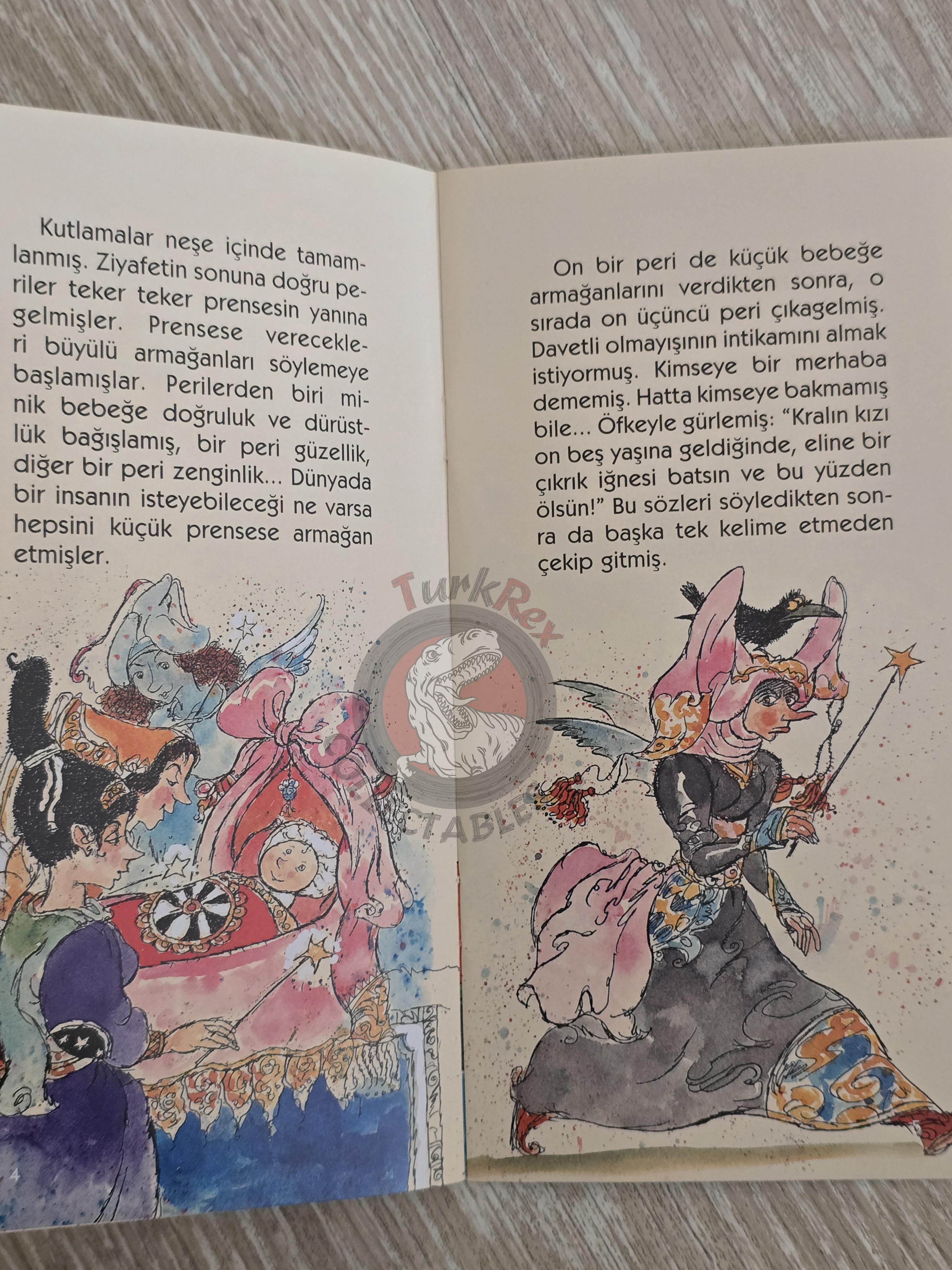 Grimm Brothers –  Sleeping Beauty 2011 Turkish Book Turkey Illustrated