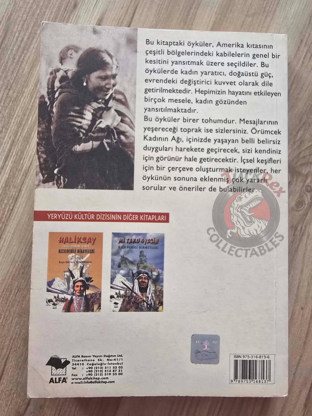 Susan Hazen Hammond – Spider Woman's Web 2001 Turkish Book Turkey