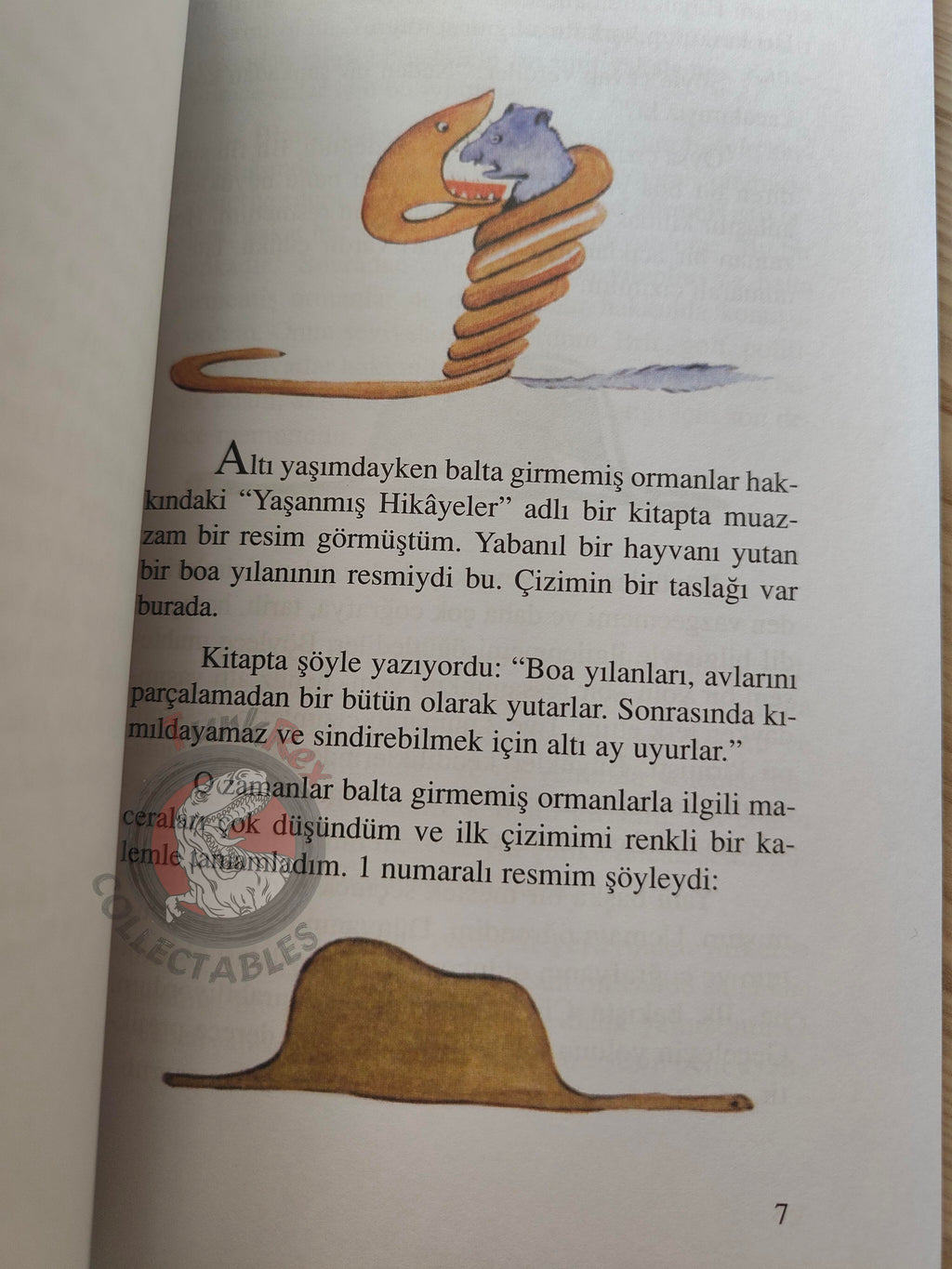 Antoine de Saint-Exupéry – Le Petit Prince 2015 Turkish Book Turkey Illustrated Little 9
