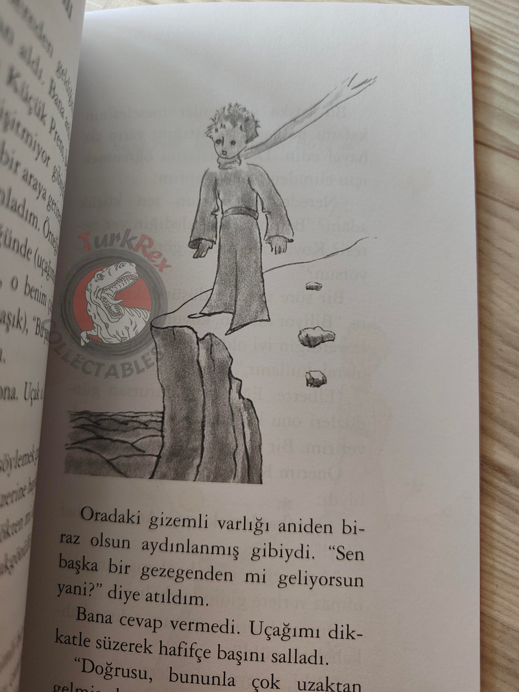 Antoine de Saint-Exupéry – Le Petit Prince 2015 Turkish Book Turkey Illustrated Little 2