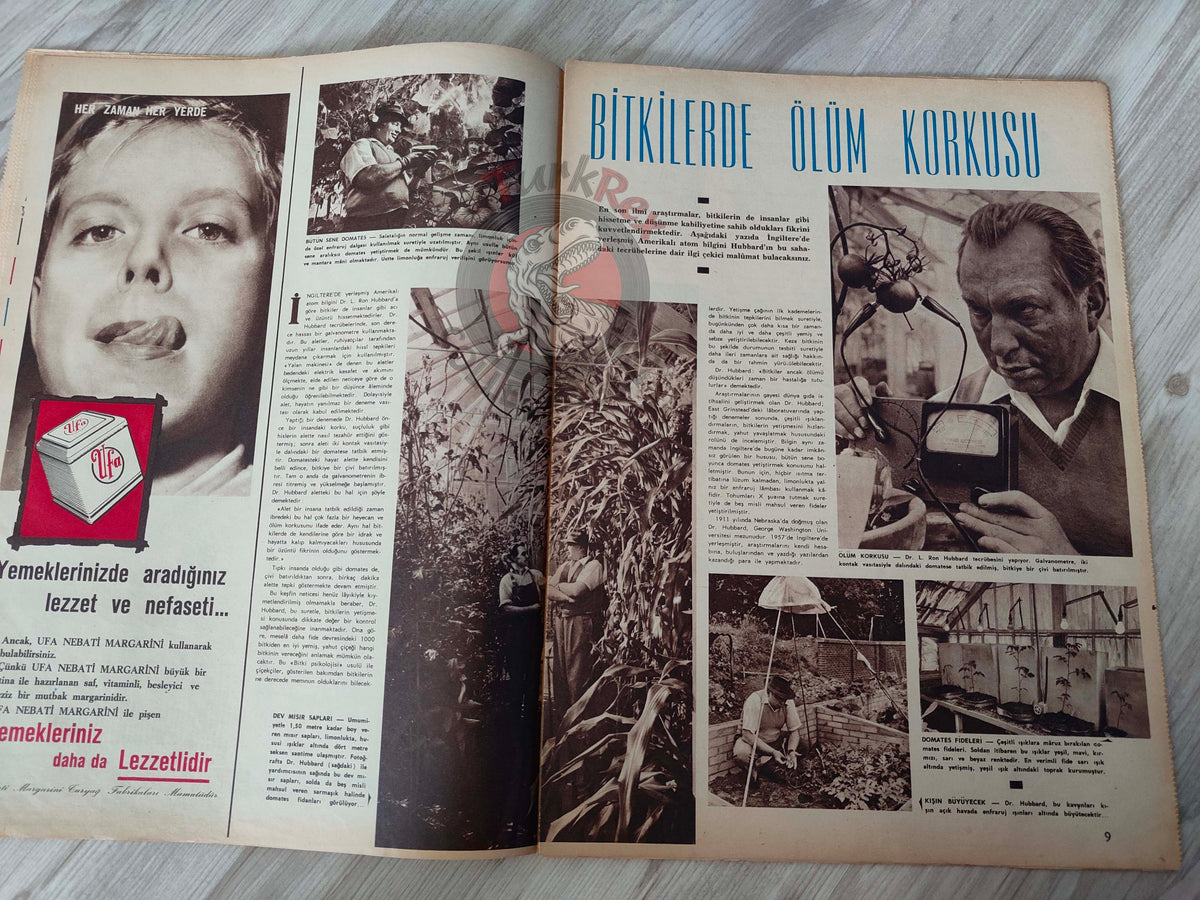 Hayat 1961 Elvis Presley and Barbara Eden Turkish Mag Turkey Prince Karim Aga Khan Kuwaiti Sheikh Abdullah Al-Sabah