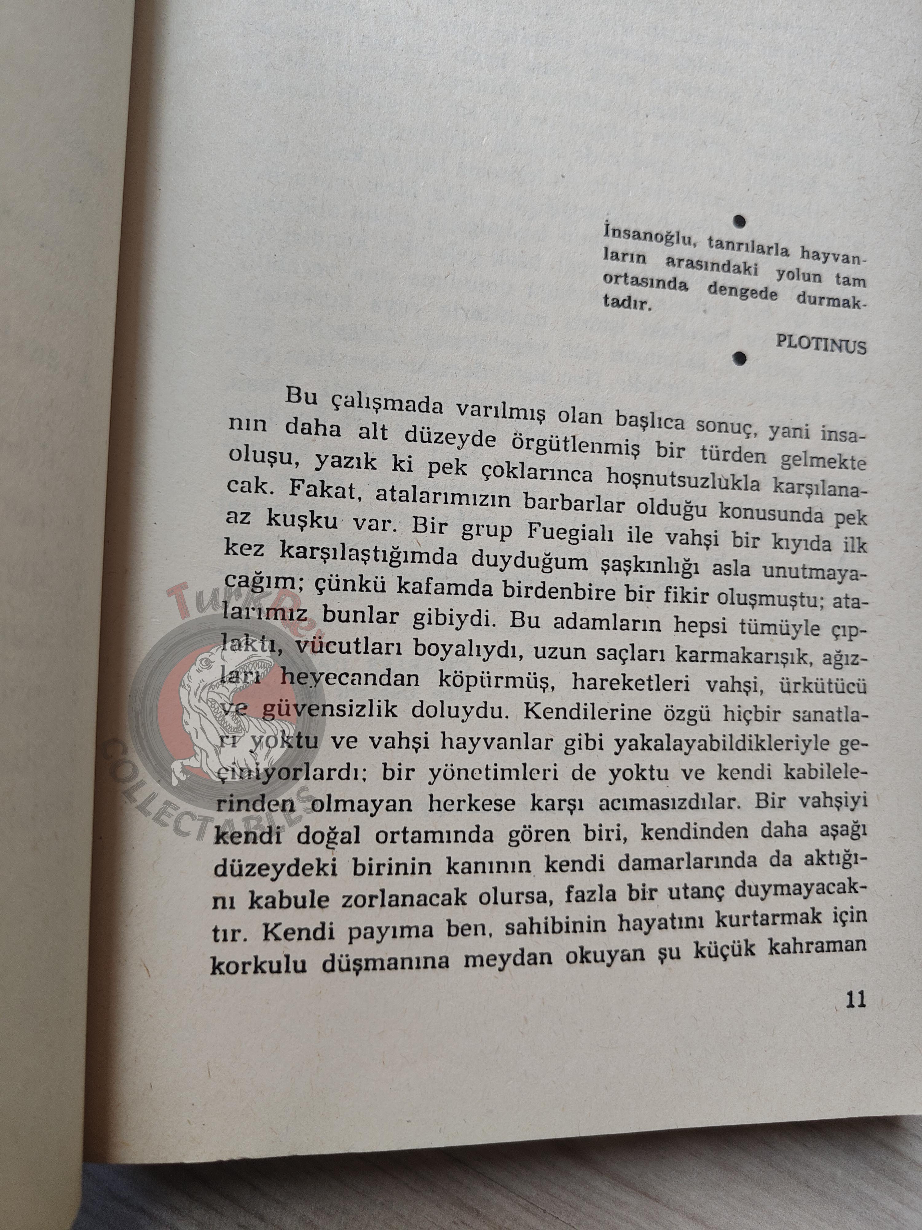 Carl Sagan – The Dragons Of Eden 1986 Turkish Book Turkey