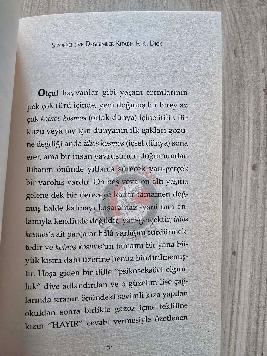 Philip K. Dick – Schizophrenia and Changes 2015 Turkish Book Turkey